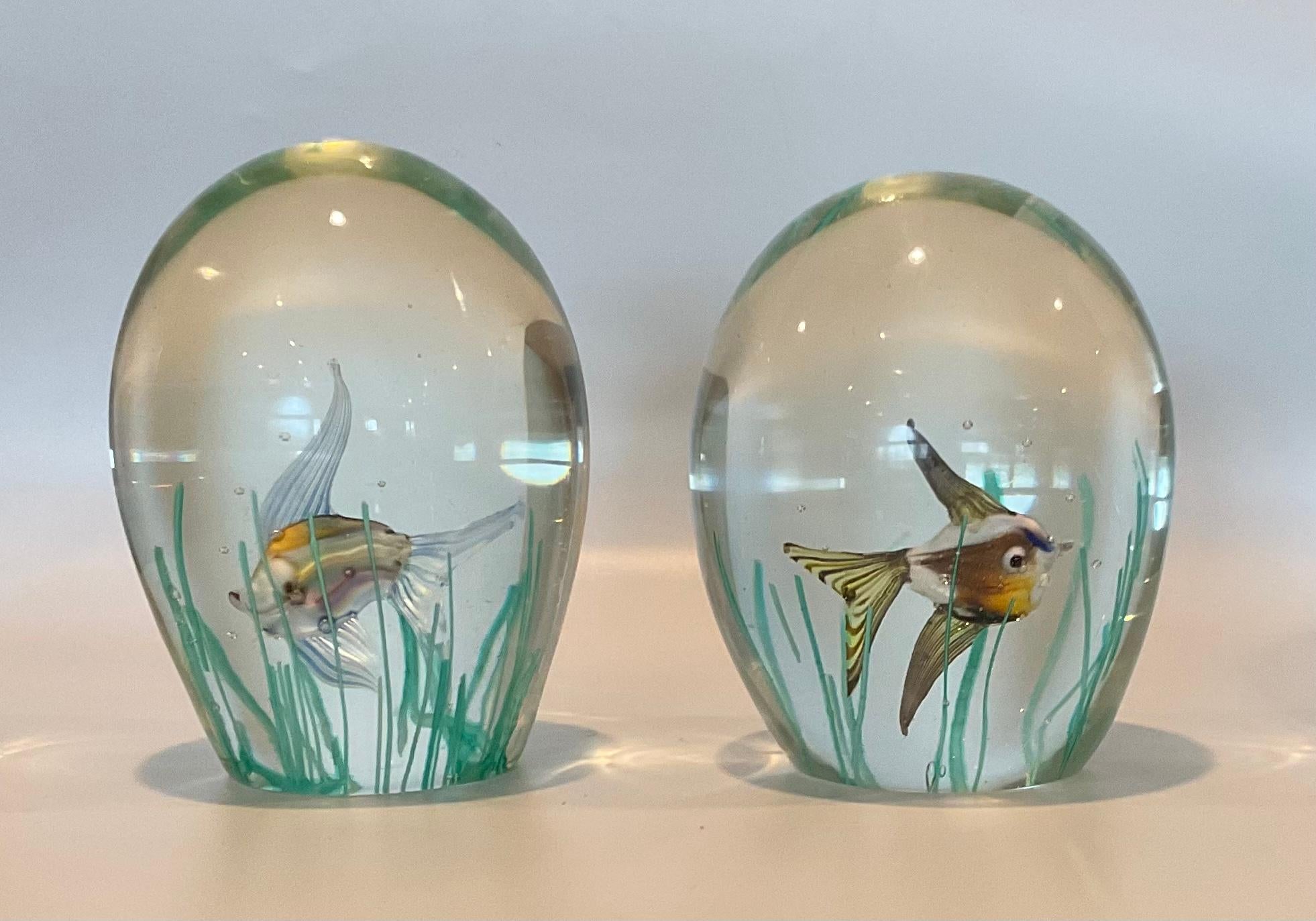 Pair Murano Art Glass Barbini Aquarium Paperweight Sculptures with Fish Seaweed In Good Condition For Sale In Ann Arbor, MI