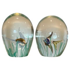 Pair Murano Art Glass Barbini Aquarium Paperweight Sculptures with Fish Seaweed