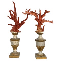 Pair Natural Red Coral Mounted On 18th Century Fragments