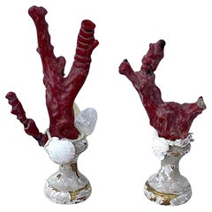 Pair Natural Red Coral Mounted On 18th Century Giltwood Fragments