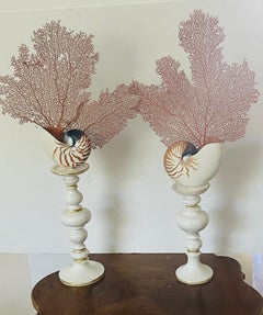 Pair large Nautilus Sea Shells with Red Sea Fans on White Stands