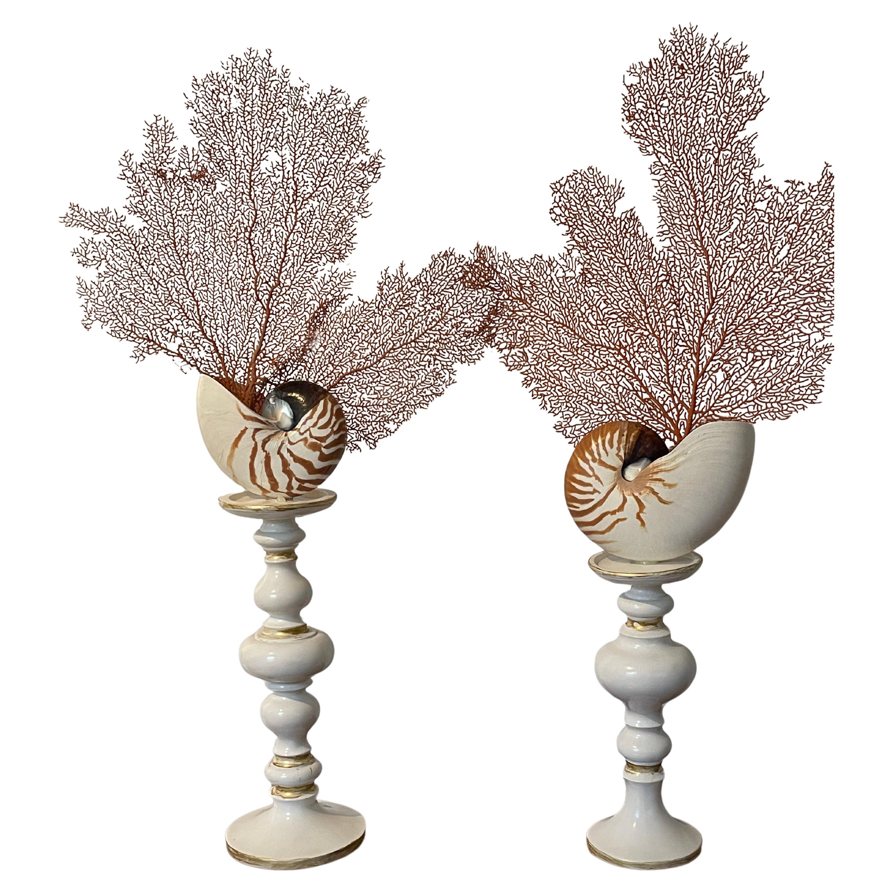 Pair large Nautilus Sea Shells with Red Sea Fans on White Stands