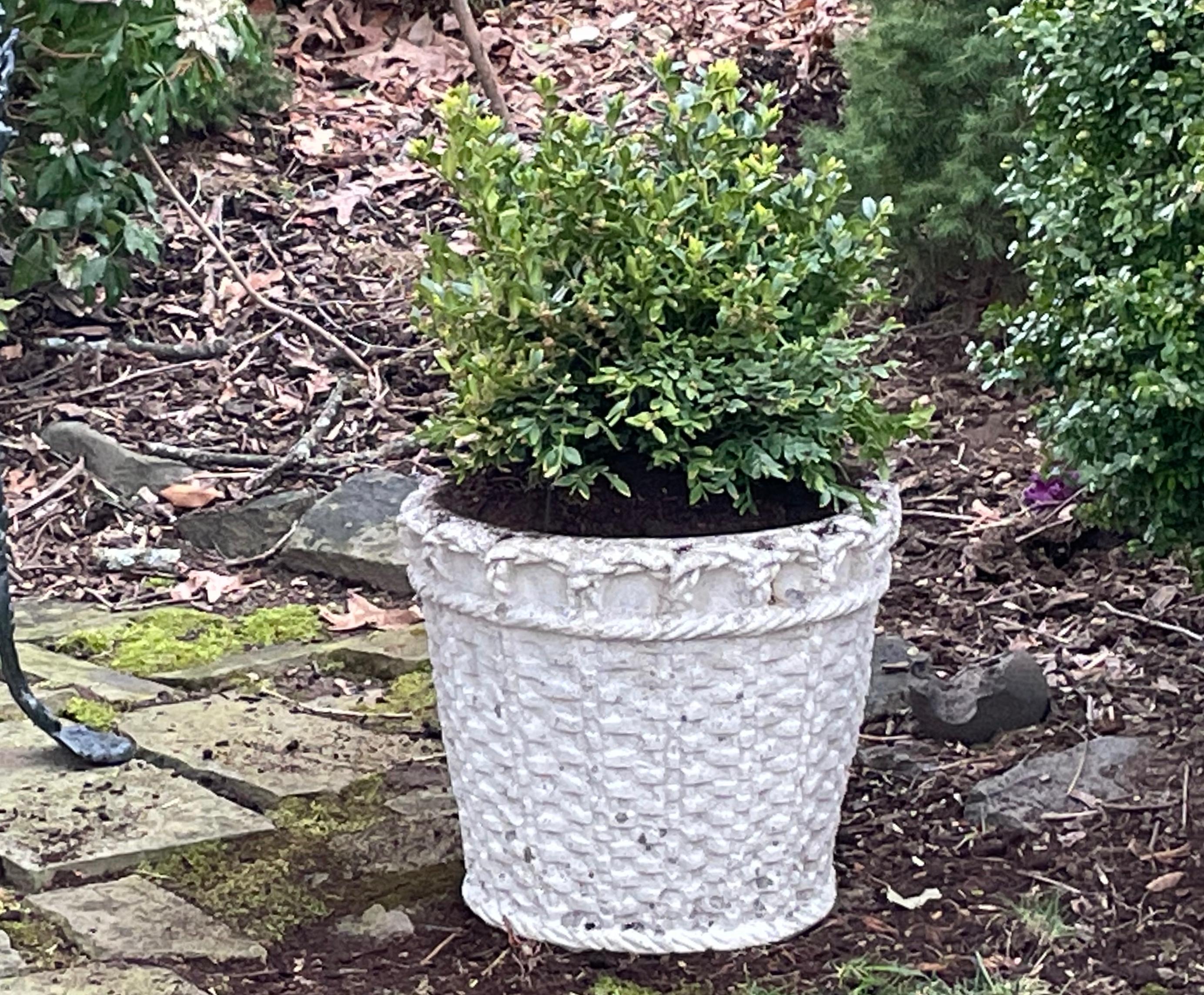 Pair Normandy cast stone woven basket planters. Pair vintage French basket weave cast stone planters. Perfect for the orangeries bordering the terrace. France, circa 1930’s 
Dimensions: 16