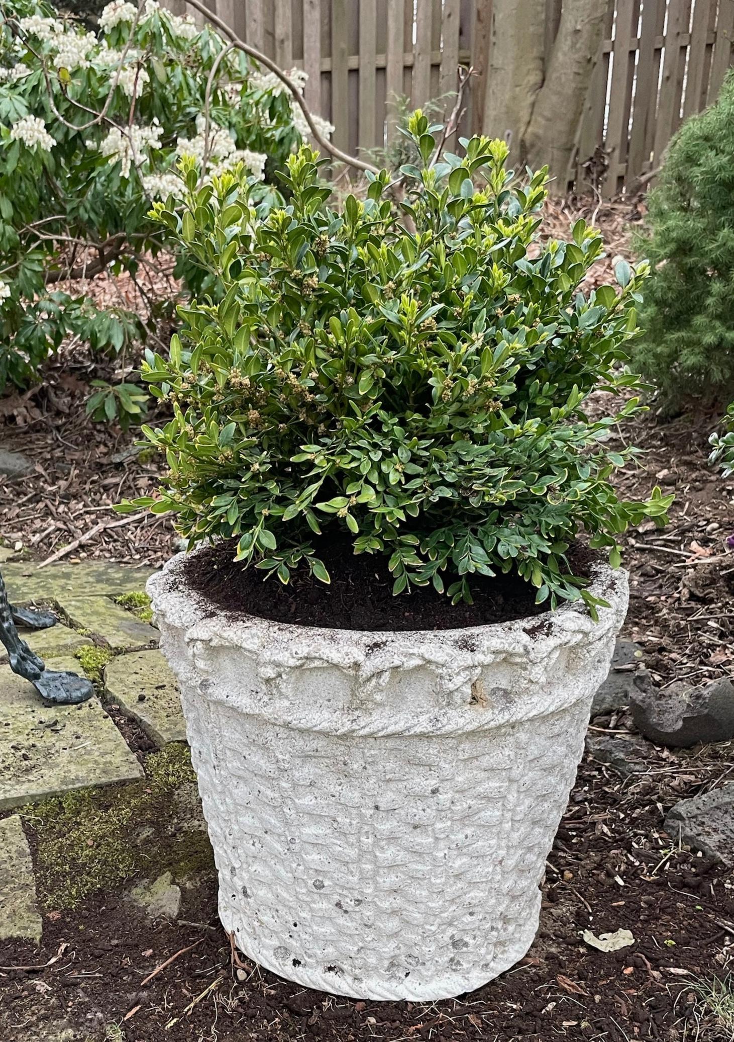 Mid-20th Century Pair Normandy Cast Stone Woven Basket Planters For Sale