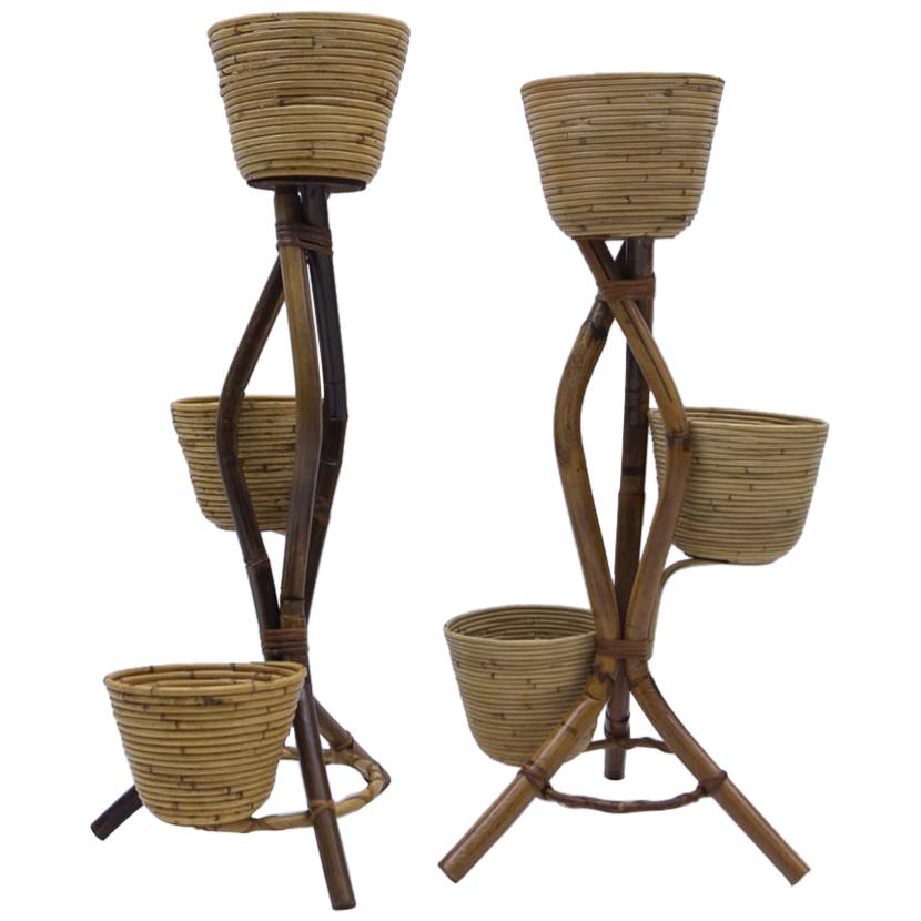 Pair of Italian Bamboo and Rattan Flower Stand or Plant Holder, 1950s For Sale