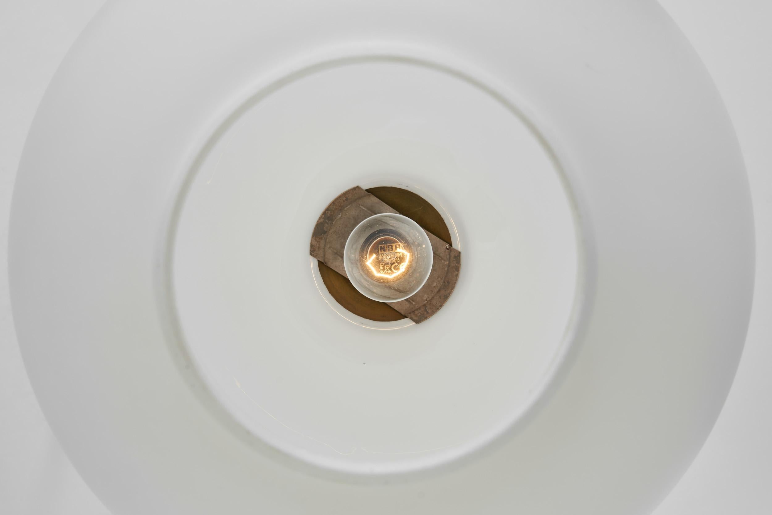 Coppia di lampade a sospensione 