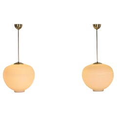 Lampadari e pendenti