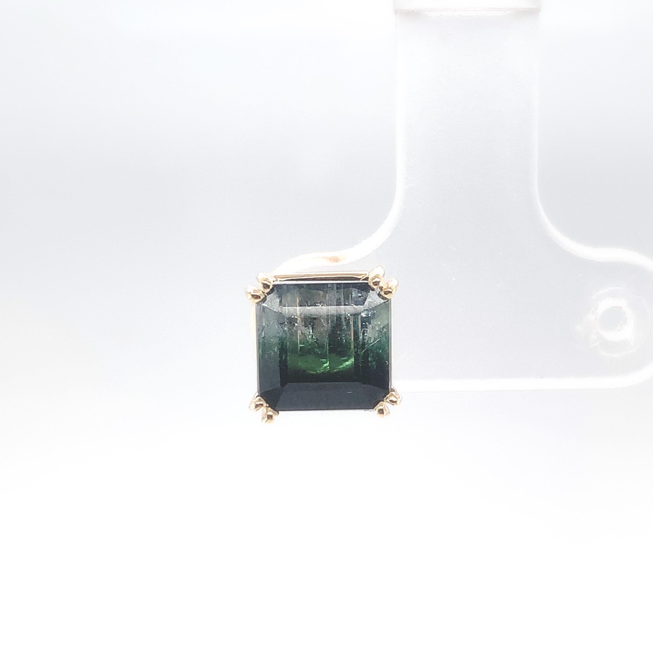 Contemporary Pair of 14K Yellow Gold Bi-color 4.27 carat tw Tourmaline Stud Earrings For Sale