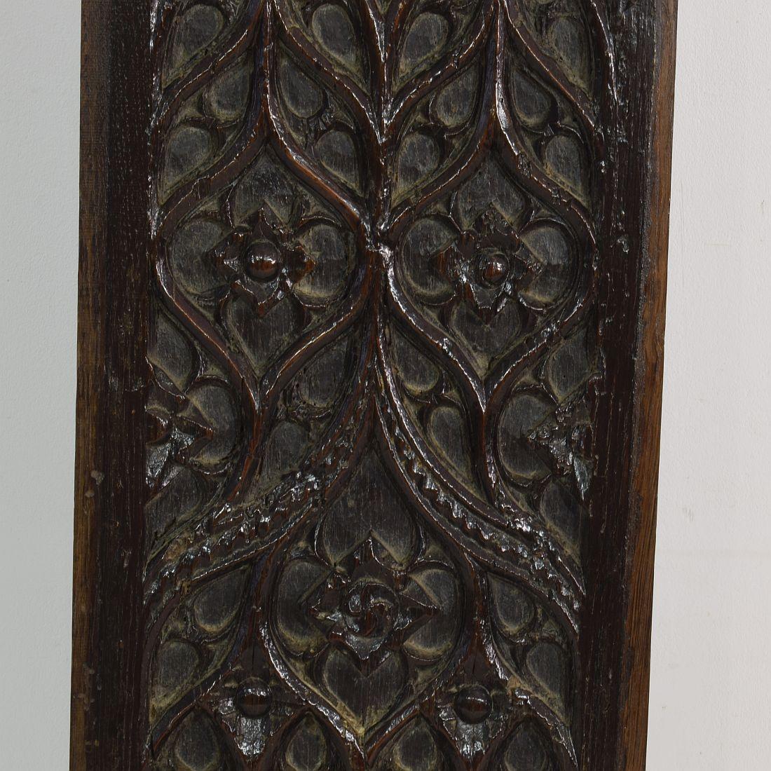 Pair of 16th Century French Gothic Oak Panels 3