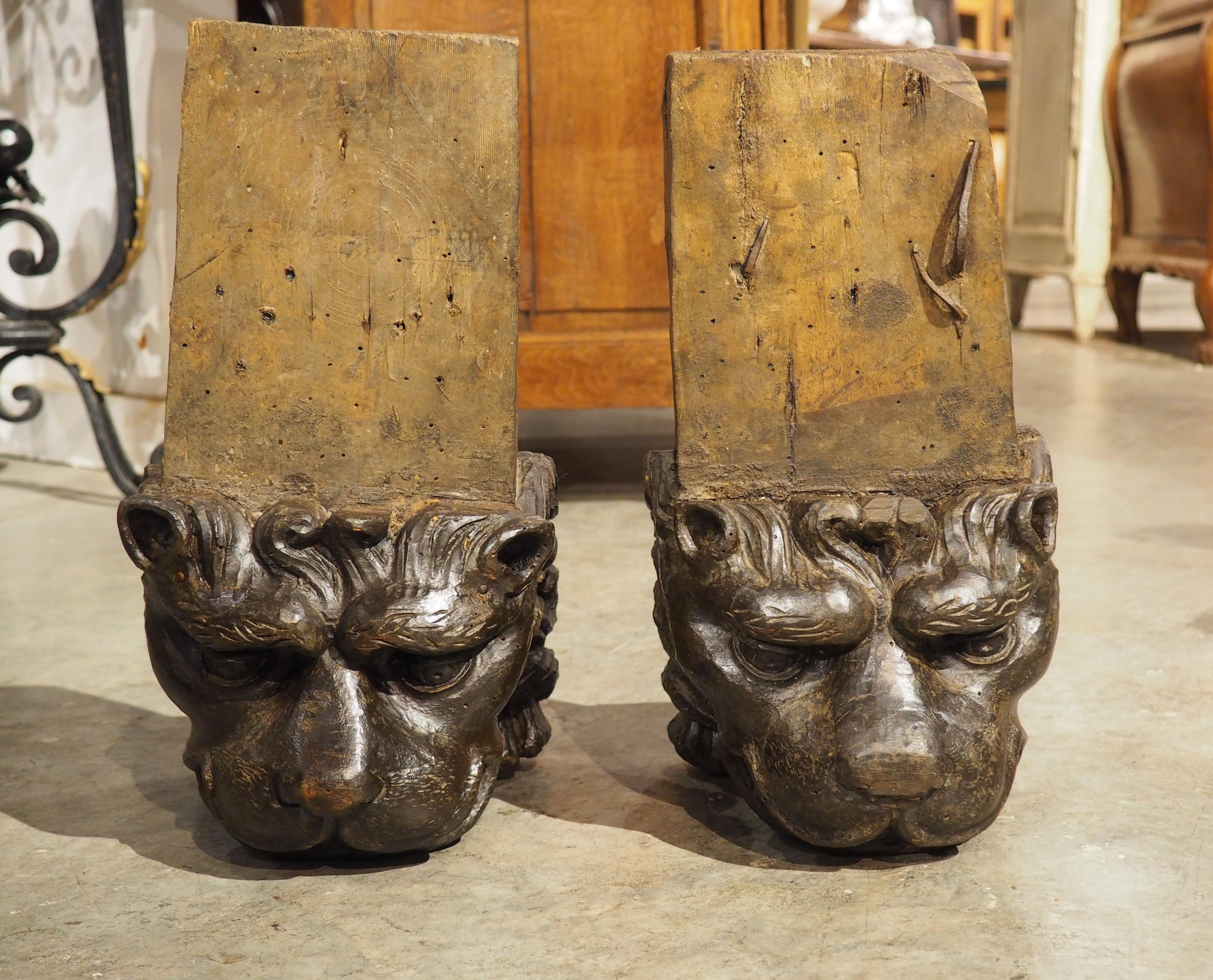 Pareja de soportes para leones de madera tallada del Renacimiento italiano del siglo XVI en venta 8