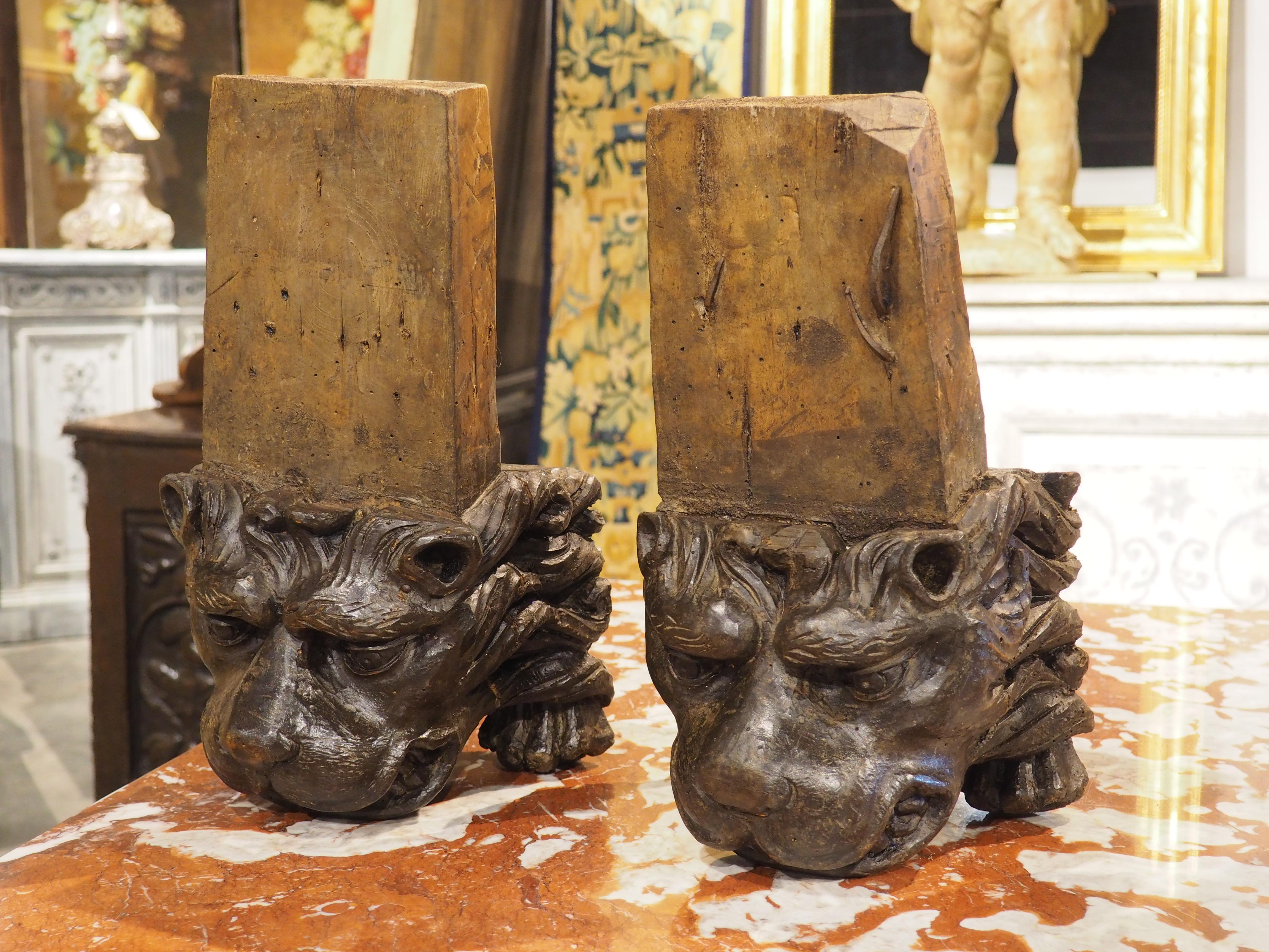 Pareja de soportes para leones de madera tallada del Renacimiento italiano del siglo XVI en venta 11