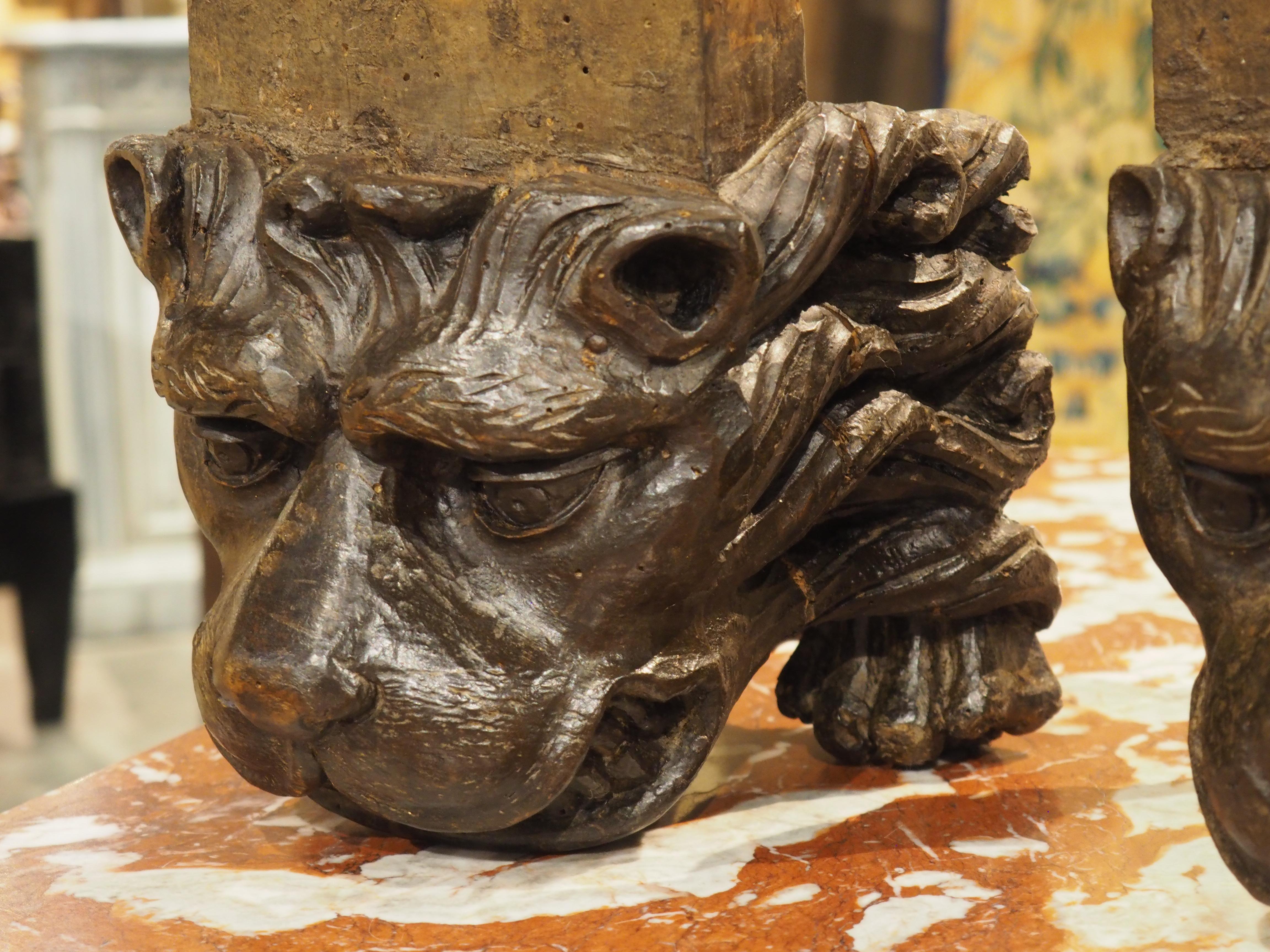Pareja de soportes para leones de madera tallada del Renacimiento italiano del siglo XVI en venta 12