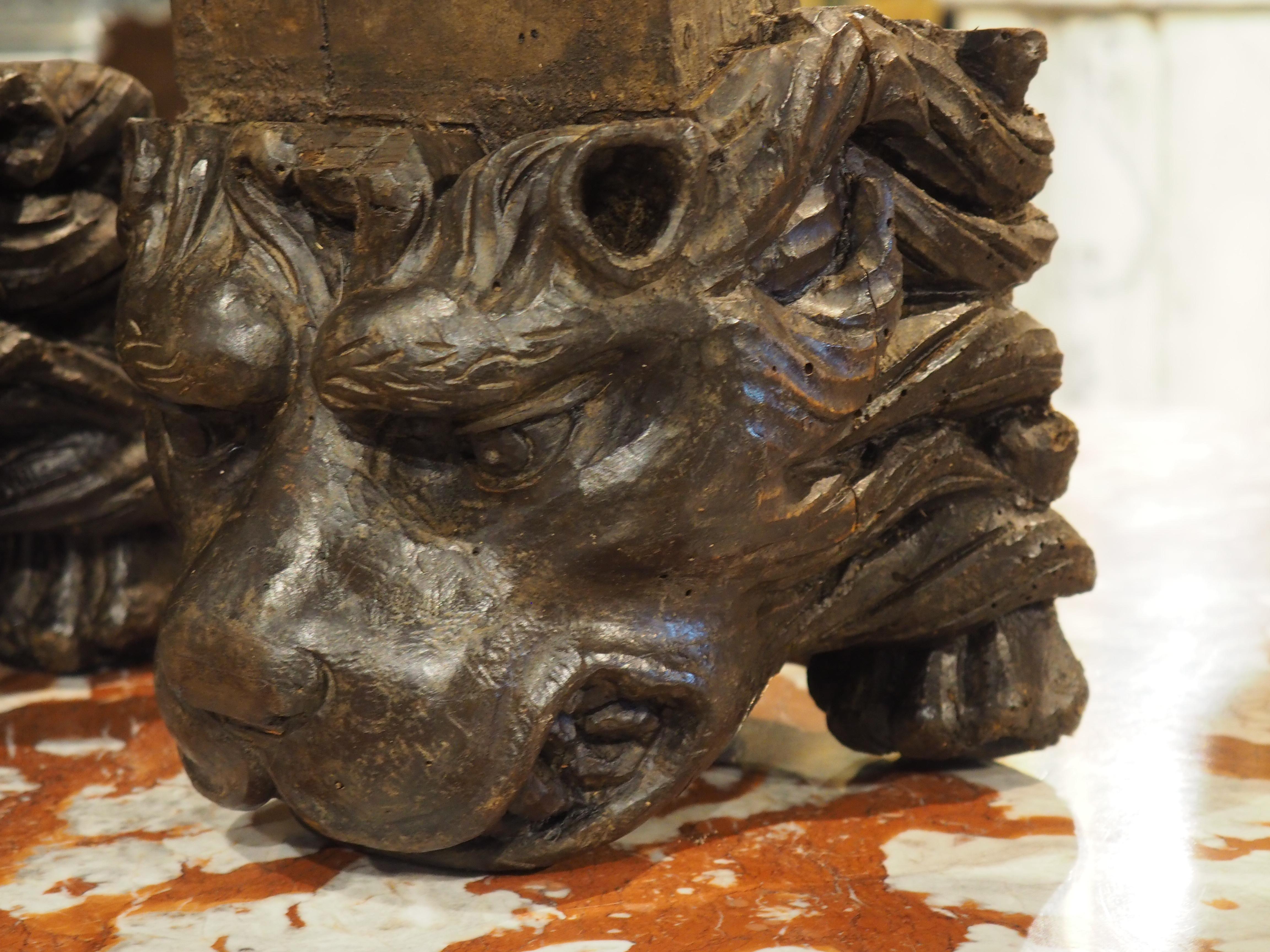 Pareja de soportes para leones de madera tallada del Renacimiento italiano del siglo XVI en venta 13