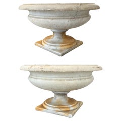 Pair of 17th Century Tuscan Marble Jardinieres