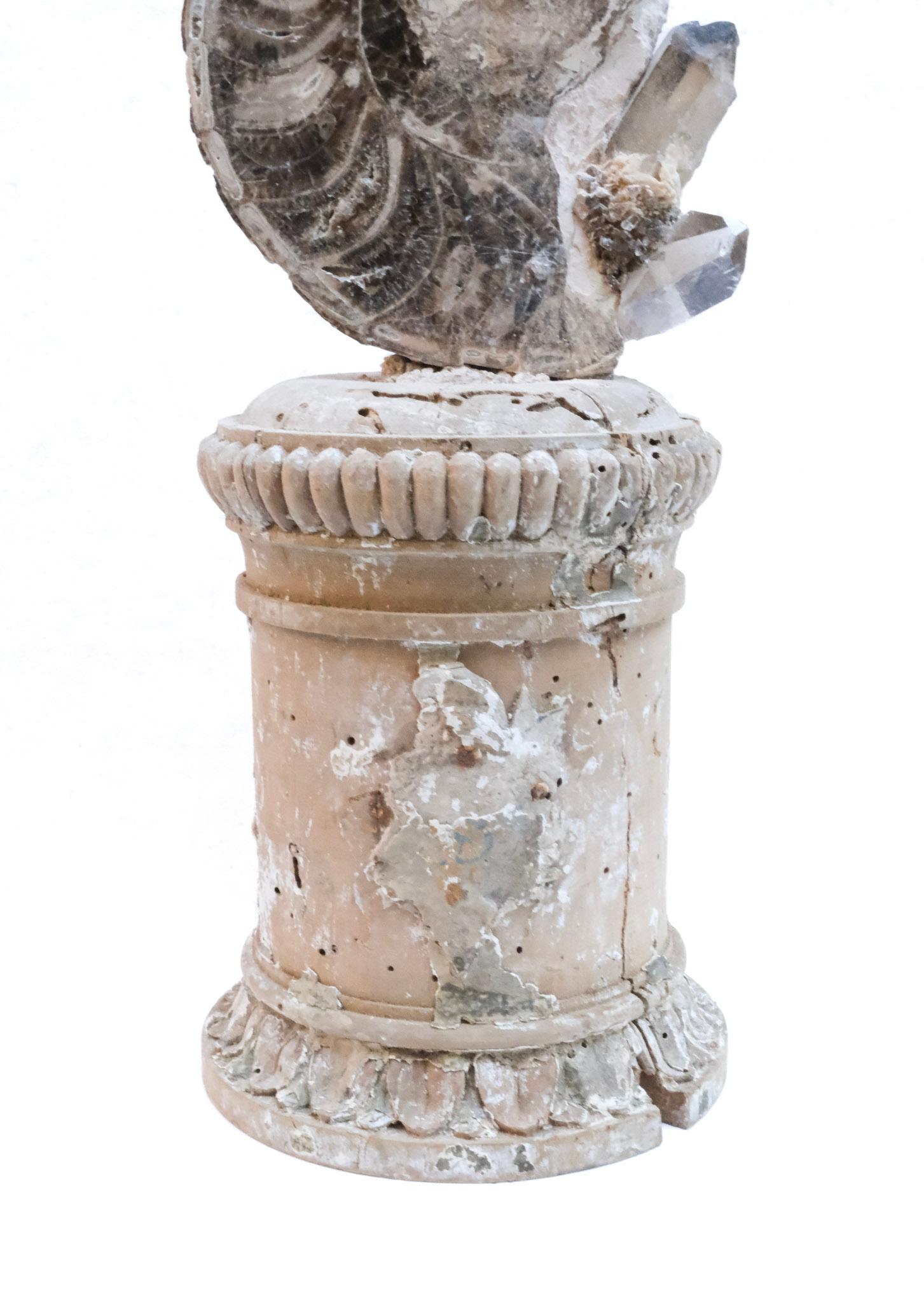 Rococo Paire de « fragments de fleurs » italiens du 17ème siècle avec citron et Ammonite en vente