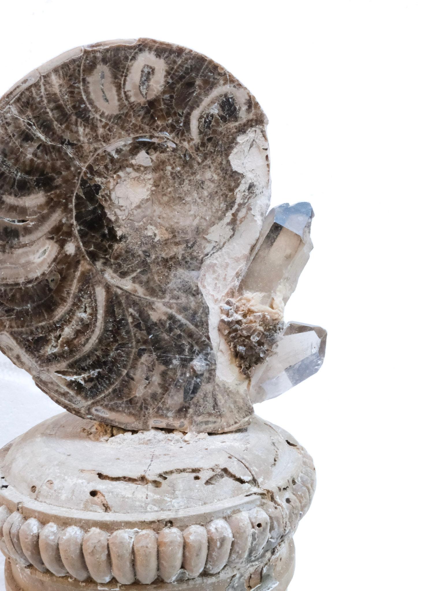 Sculpté à la main Paire de « fragments de fleurs » italiens du 17ème siècle avec citron et Ammonite en vente