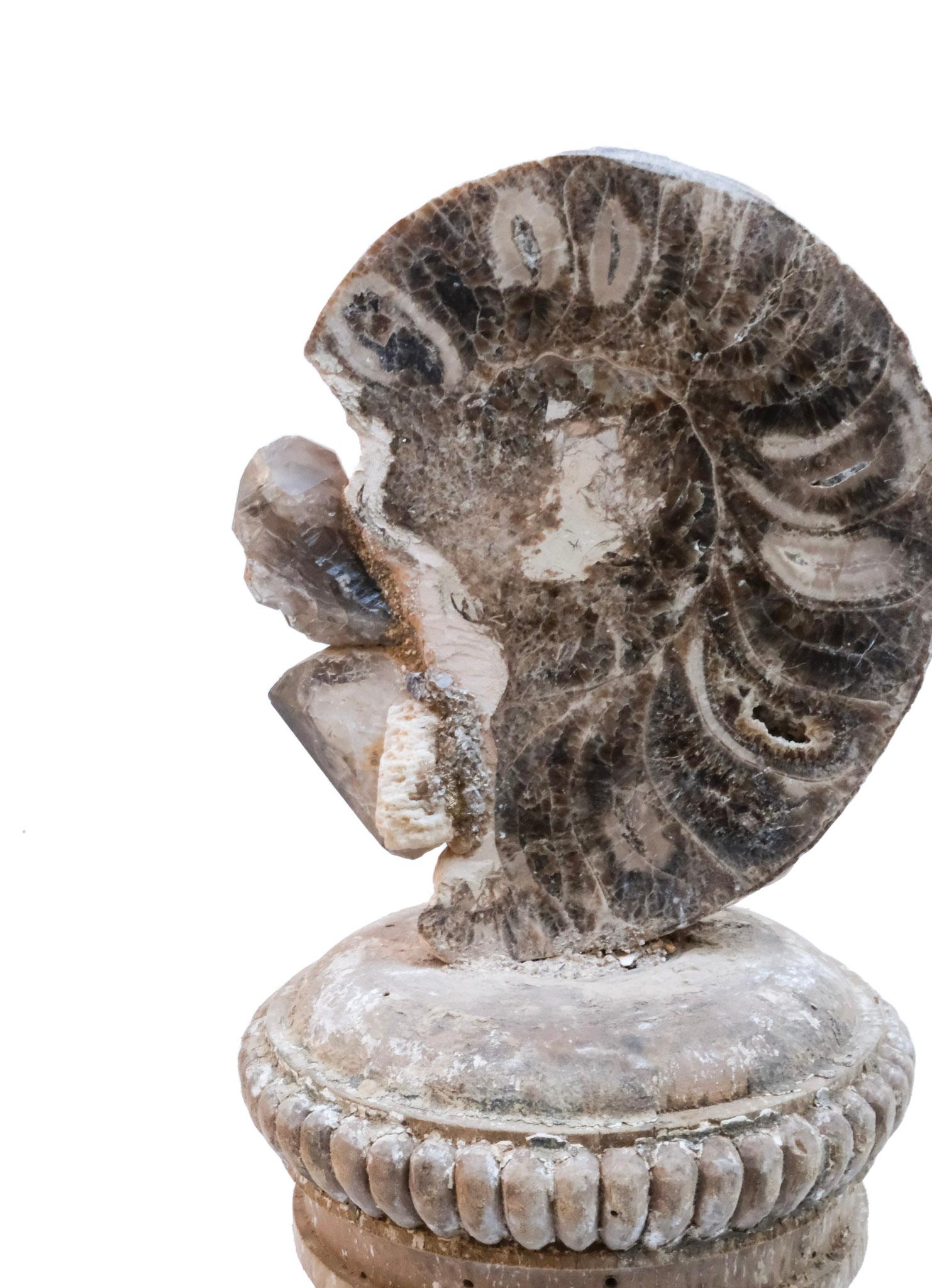 Quartz Paire de « fragments de fleurs » italiens du 17ème siècle avec citron et Ammonite en vente