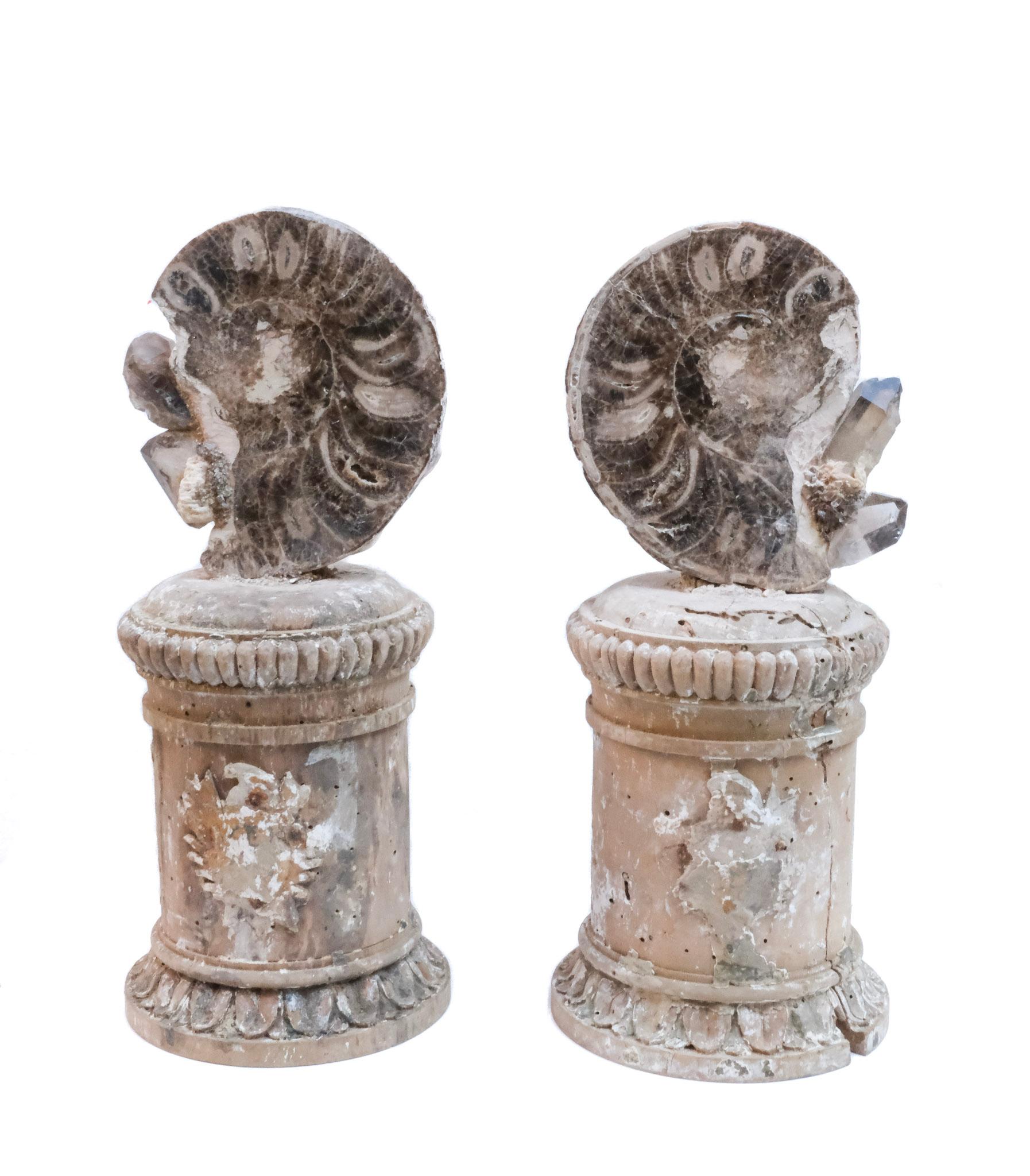 Paire de « fragments de fleurs » italiens du 17ème siècle avec citron et Ammonite en vente 1
