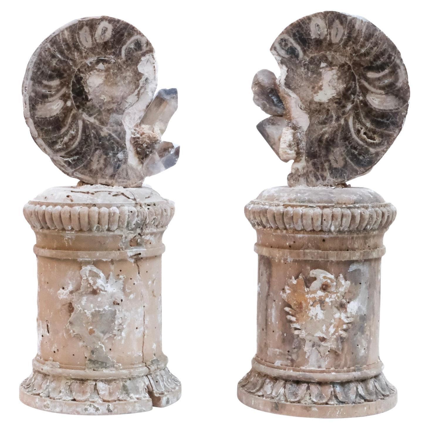 Coppia di 'Frammenti di Firenze' italiani del XVII secolo con cedro e ammonite