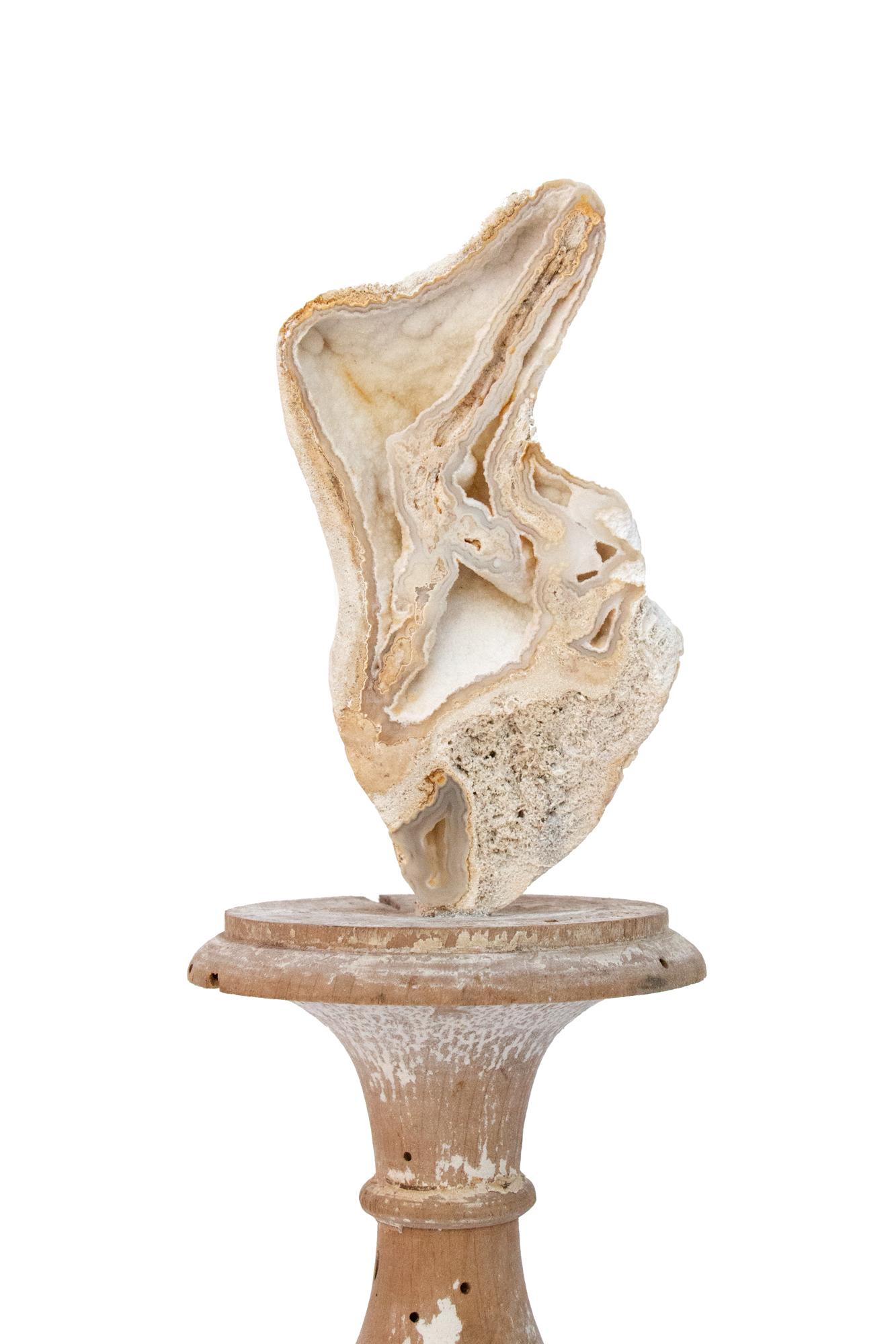 Paire de vases « Fragment de fleurs » du 17ème siècle en agate fossile et corail en vente 1