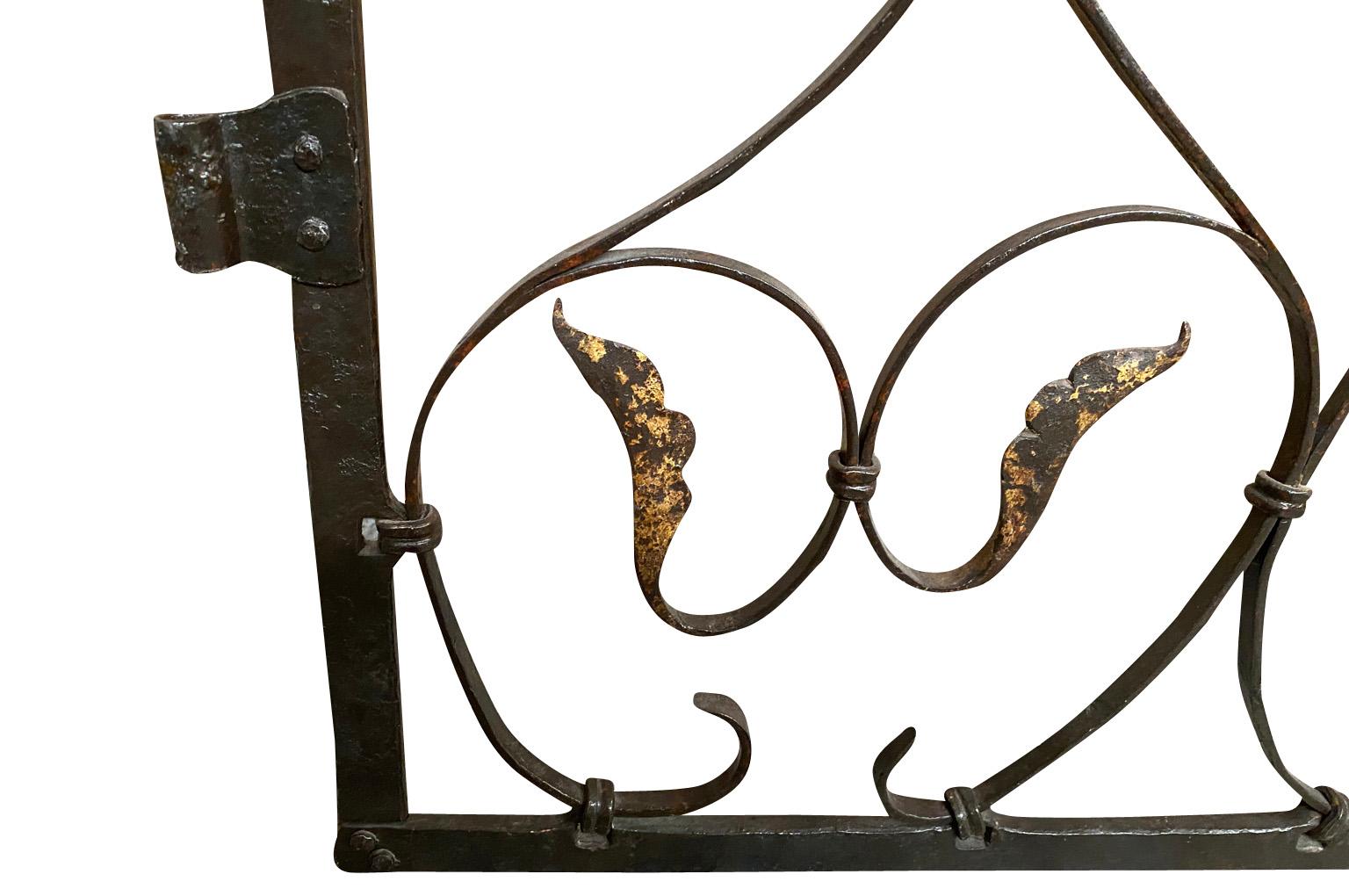 Pair Of 17th Century Italian Iron Gates For Sale 1