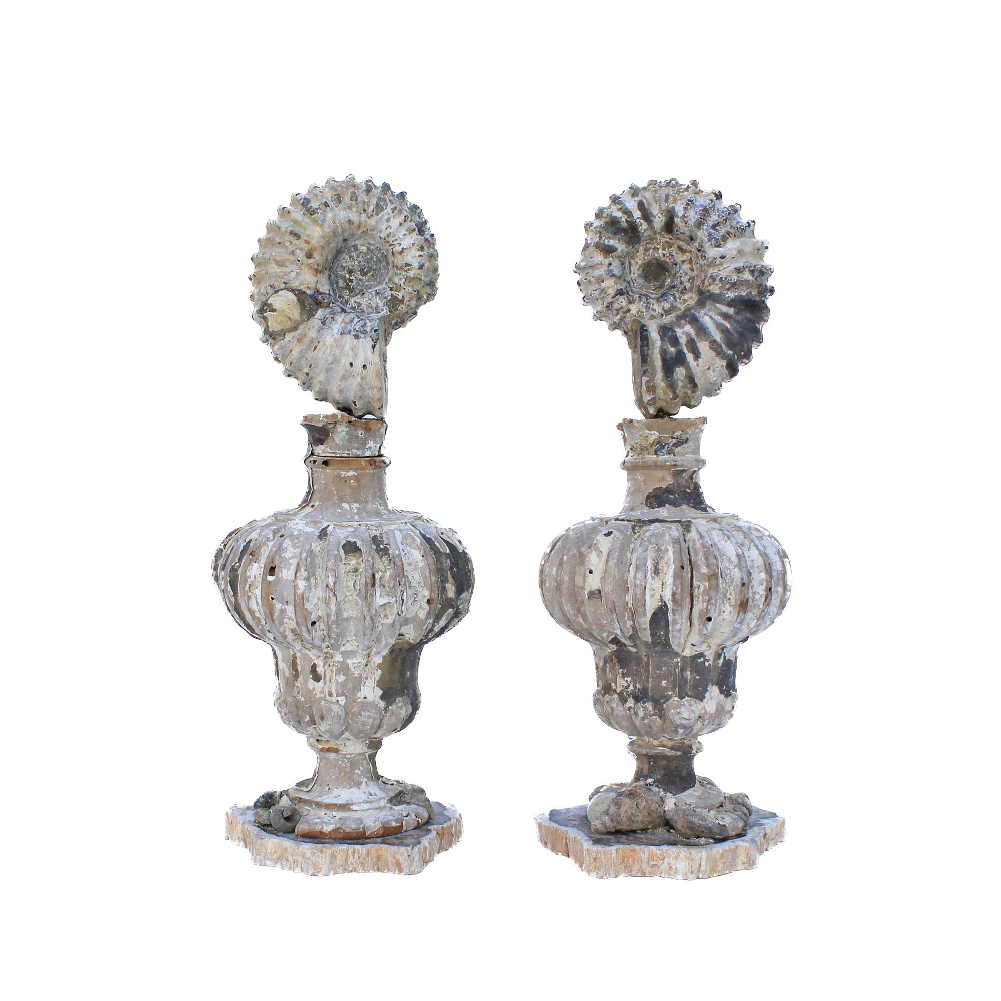 Pair of 17th century Italian fragment vases mounted with fossil ammonites and fossil shells on petrified wood bases.

The pair is from a church in Florence. They were found and saved from the historic flooding of the Arno River in 1966. The