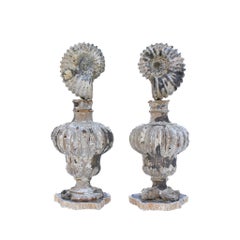 Pair of 17th Century Italian Vases Mounted with Ammonites and Fossil Shells