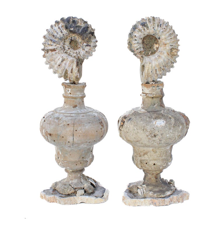18th Century and Earlier Pair of 17th Century Italian Vases Mounted with Ammonites and Fossil Shells