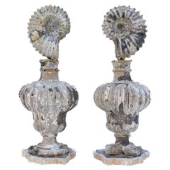 Pair of 17th Century Italian Vases Mounted with Ammonites and Fossil Shells
