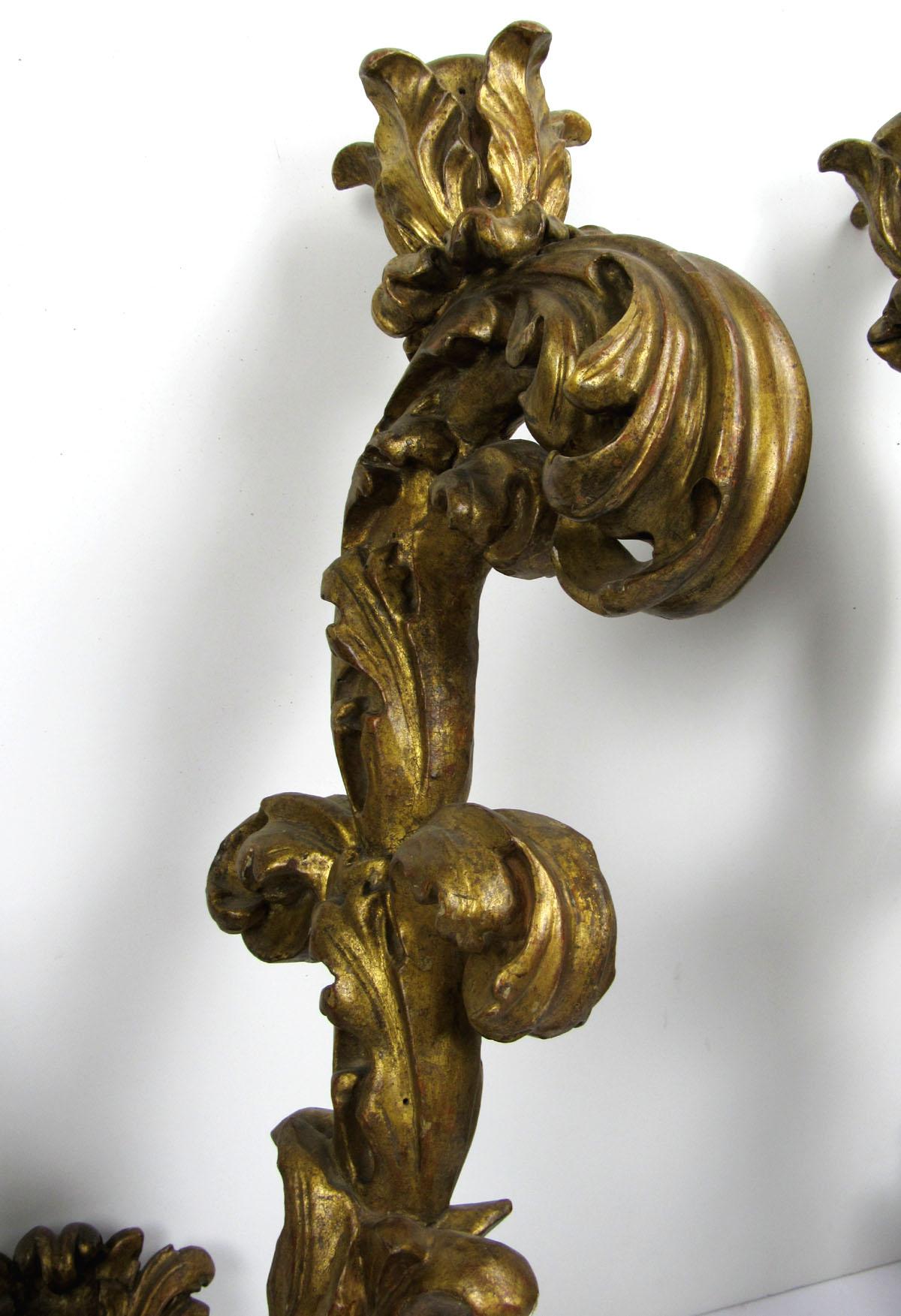 Pair of 17th Century Italian Wall Arms (Vergoldetes Holz) im Angebot