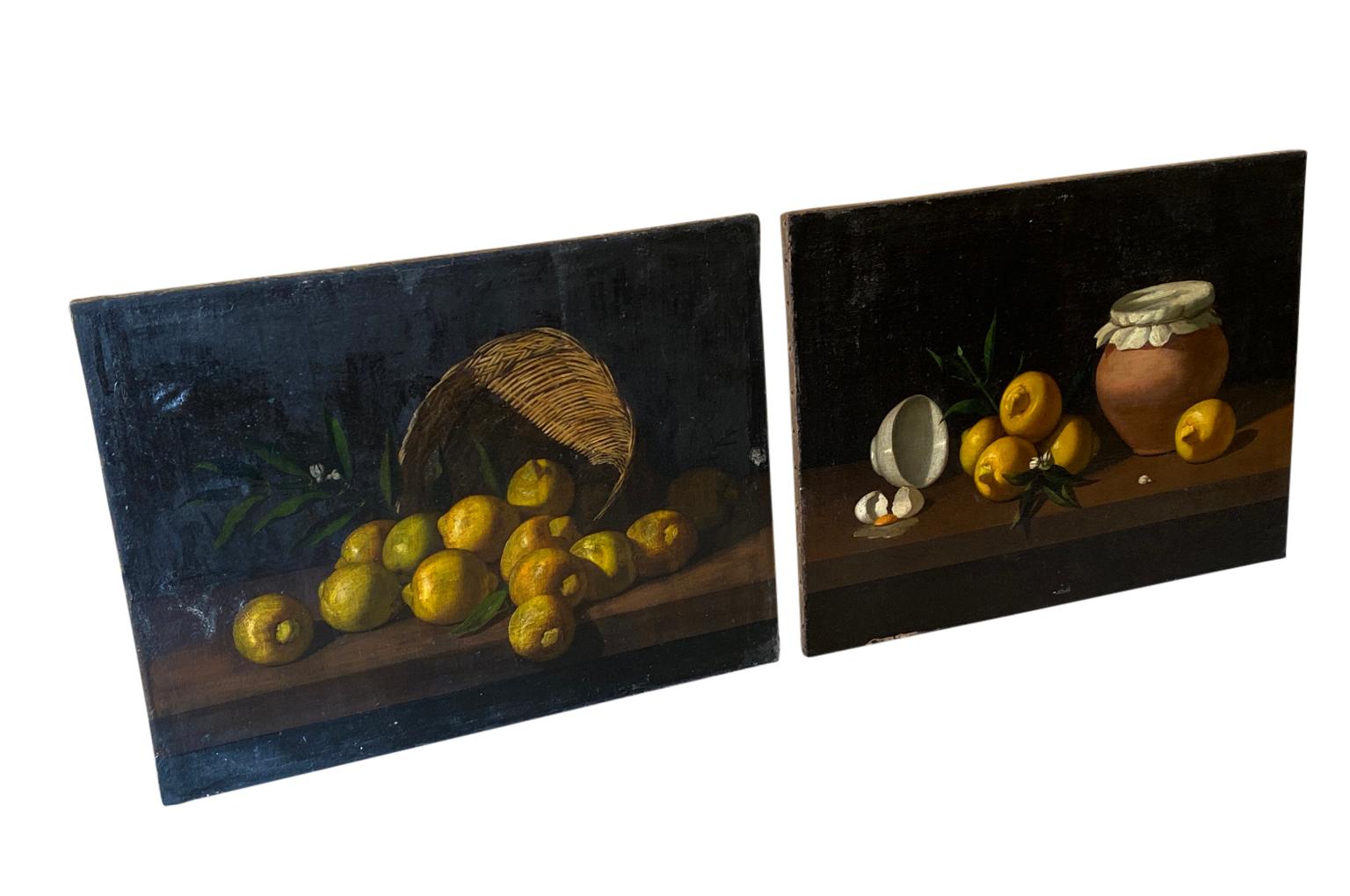 A very elegant pair of 17th century Spanish oil on canvas paintings - Nature Morte. Wonderful rich color. Perfect for any kitchen or living space.