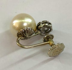Pair of Vintage 18kt White Gold Daisy Earrings with Pearls & Diamonds, 1950s