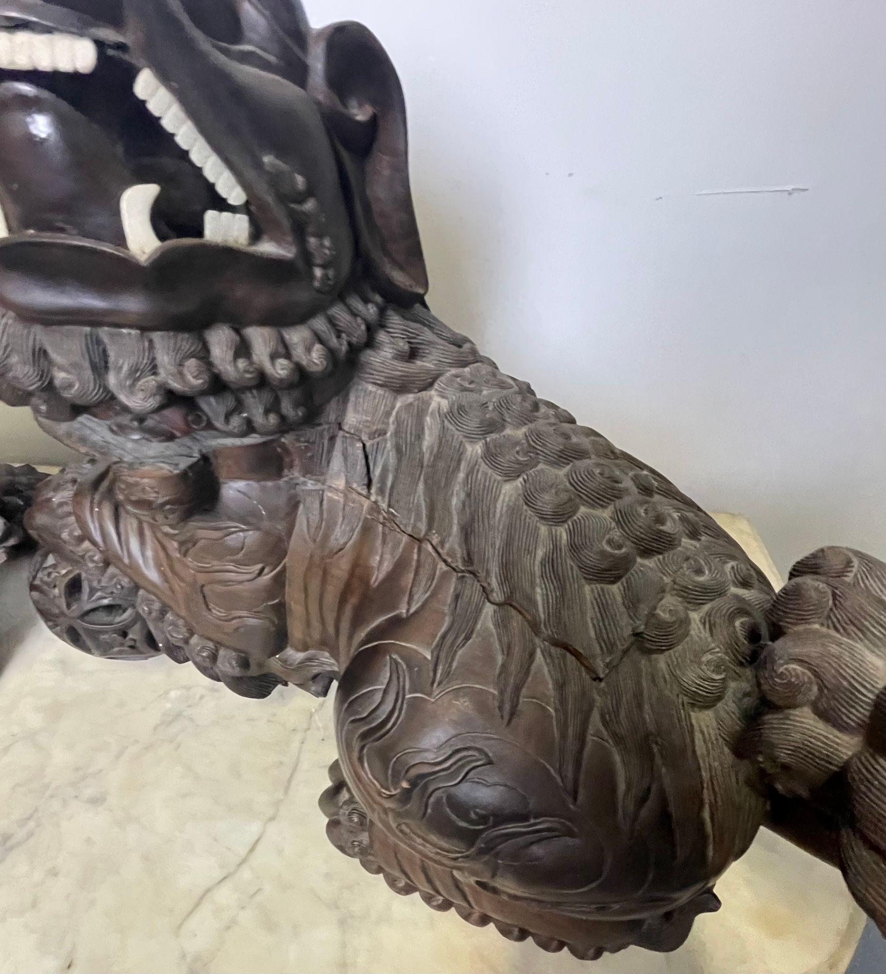 Paar Foo-Hunde aus massivem Teakholz aus dem 18./19. Jahrhundert, Opposing, Bildhauerei (Chinesischer Export) im Angebot