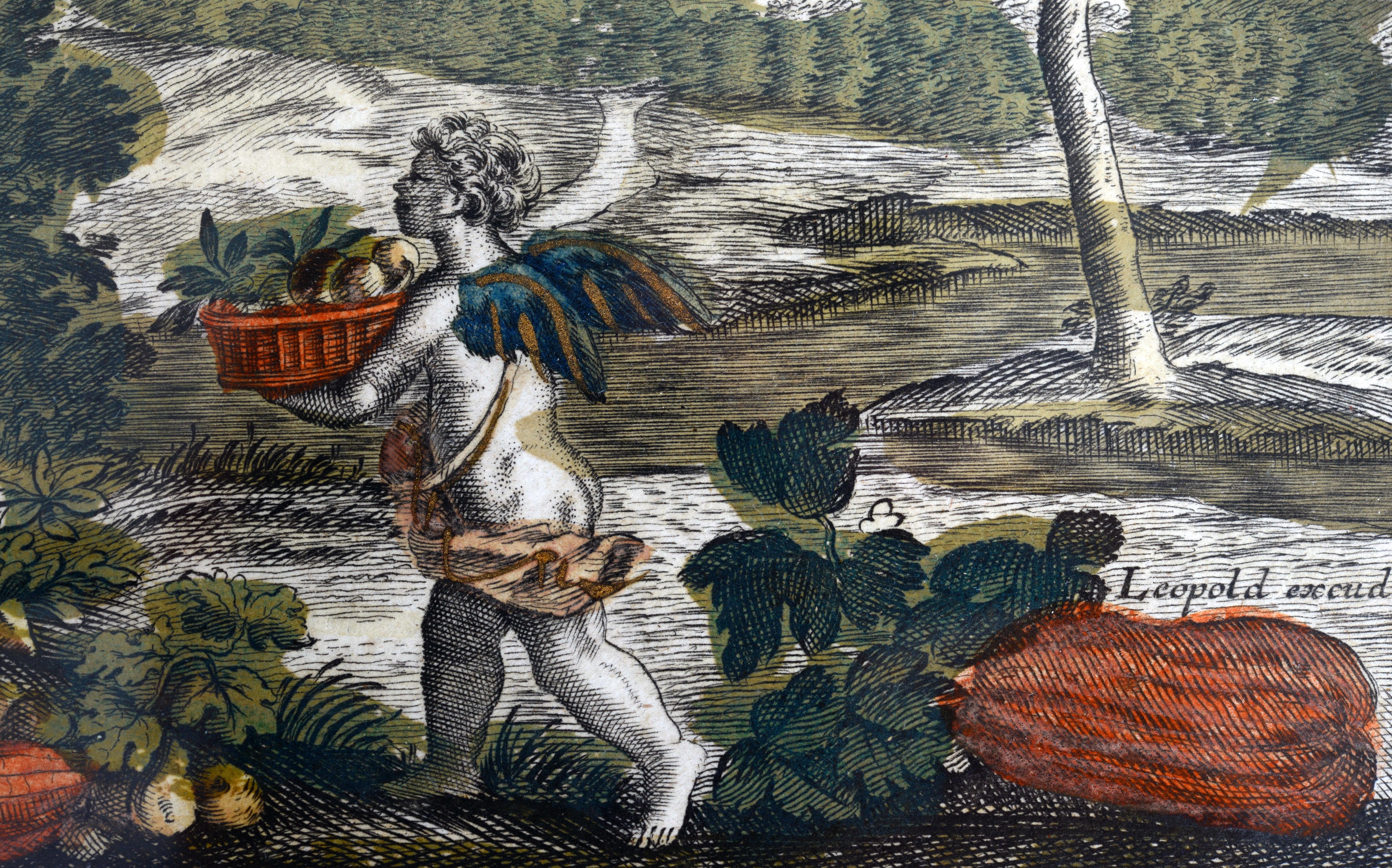 Paar handkolorierte Kupfergravuren von Josef Friedrich (1668-1726) aus dem 18. Jahrhundert im Angebot 4