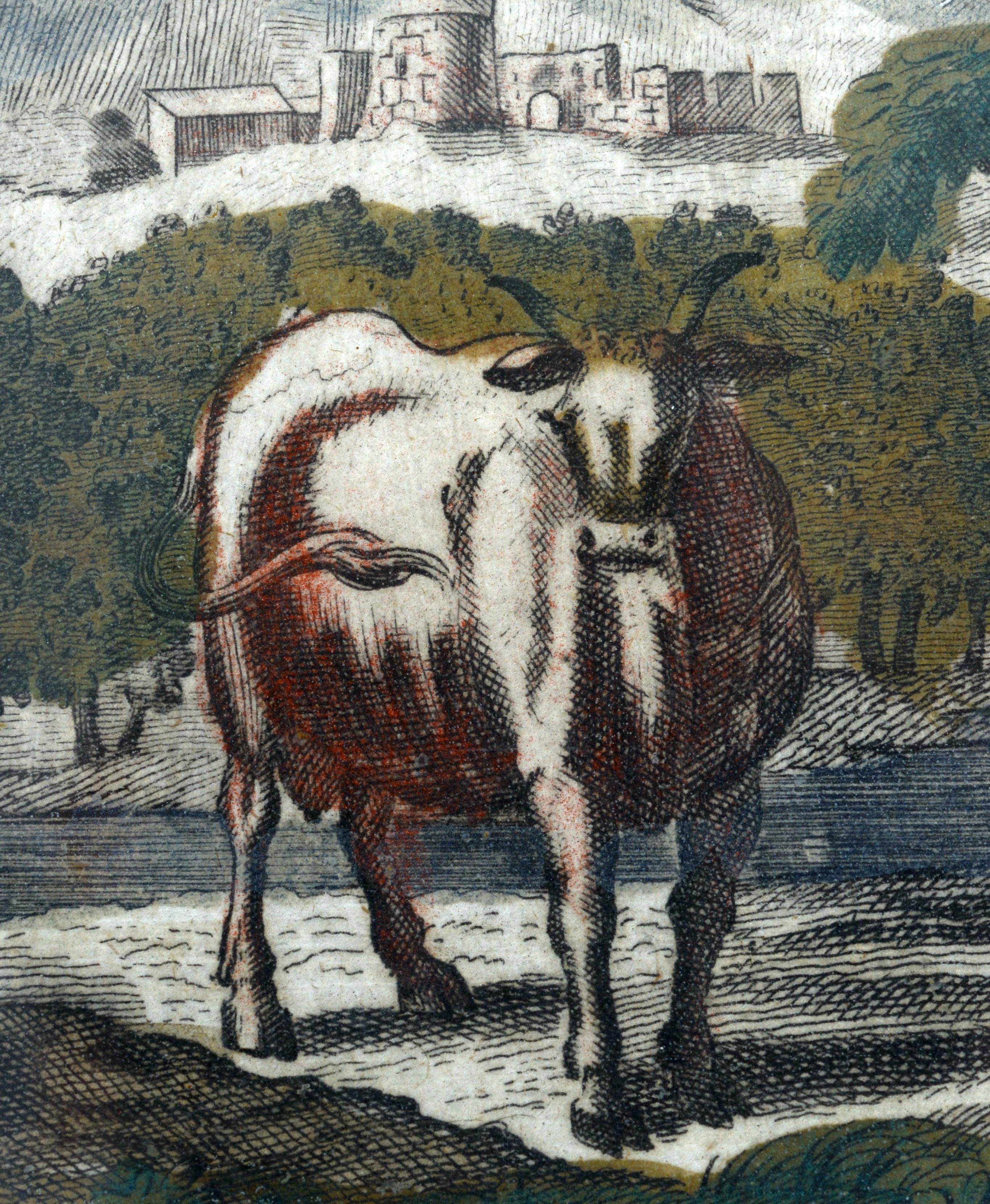 Paar handkolorierte Kupfergravuren von Josef Friedrich (1668-1726) aus dem 18. Jahrhundert im Angebot 1