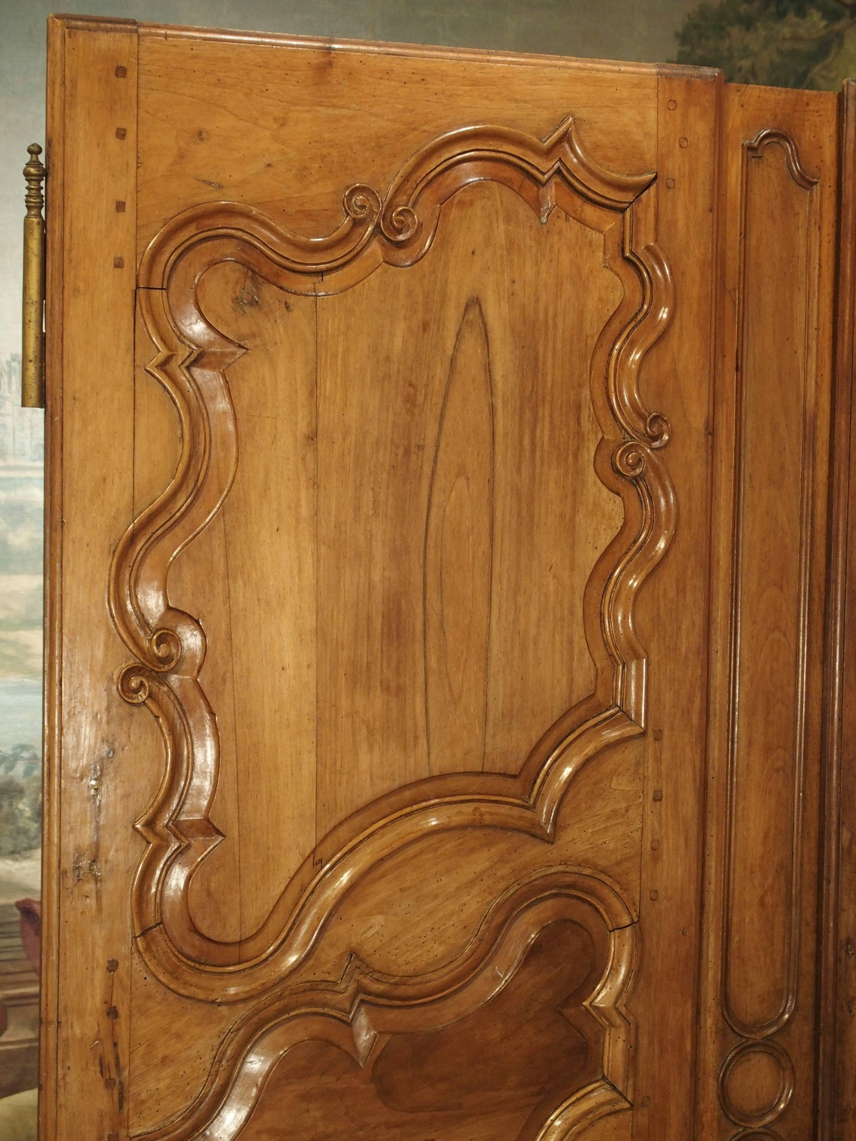 Hand-Carved Pair of 18th Century Armoire Doors from Arles, France