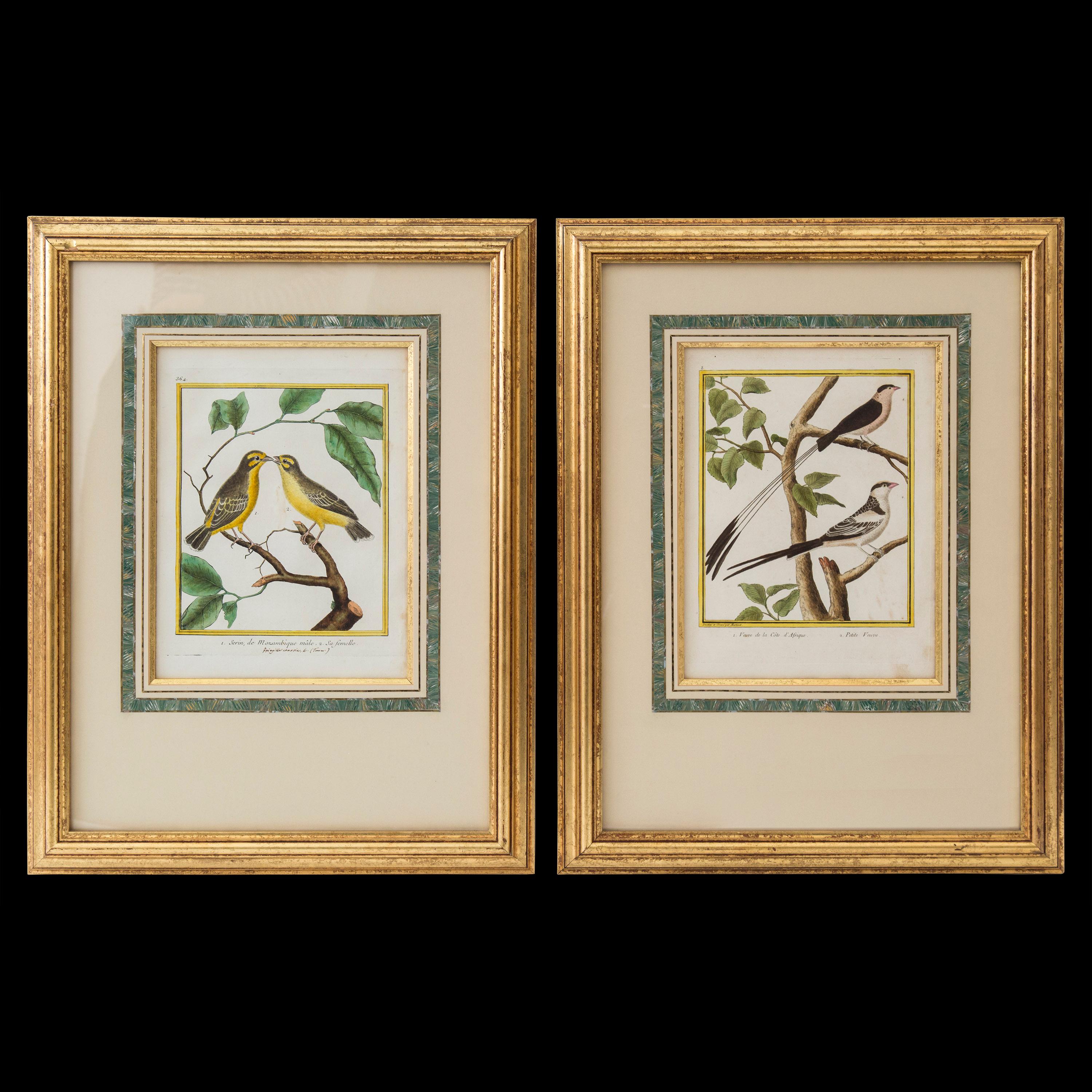 A pair of Engravings of birds by François Nicolas Martinet, from Histoire Naturelle des Oiseaux, 1770-1786.

France, circa 1770.

Original hand-colored copper-plate engravings, each signed in the bottom of the yellow border, framed in French