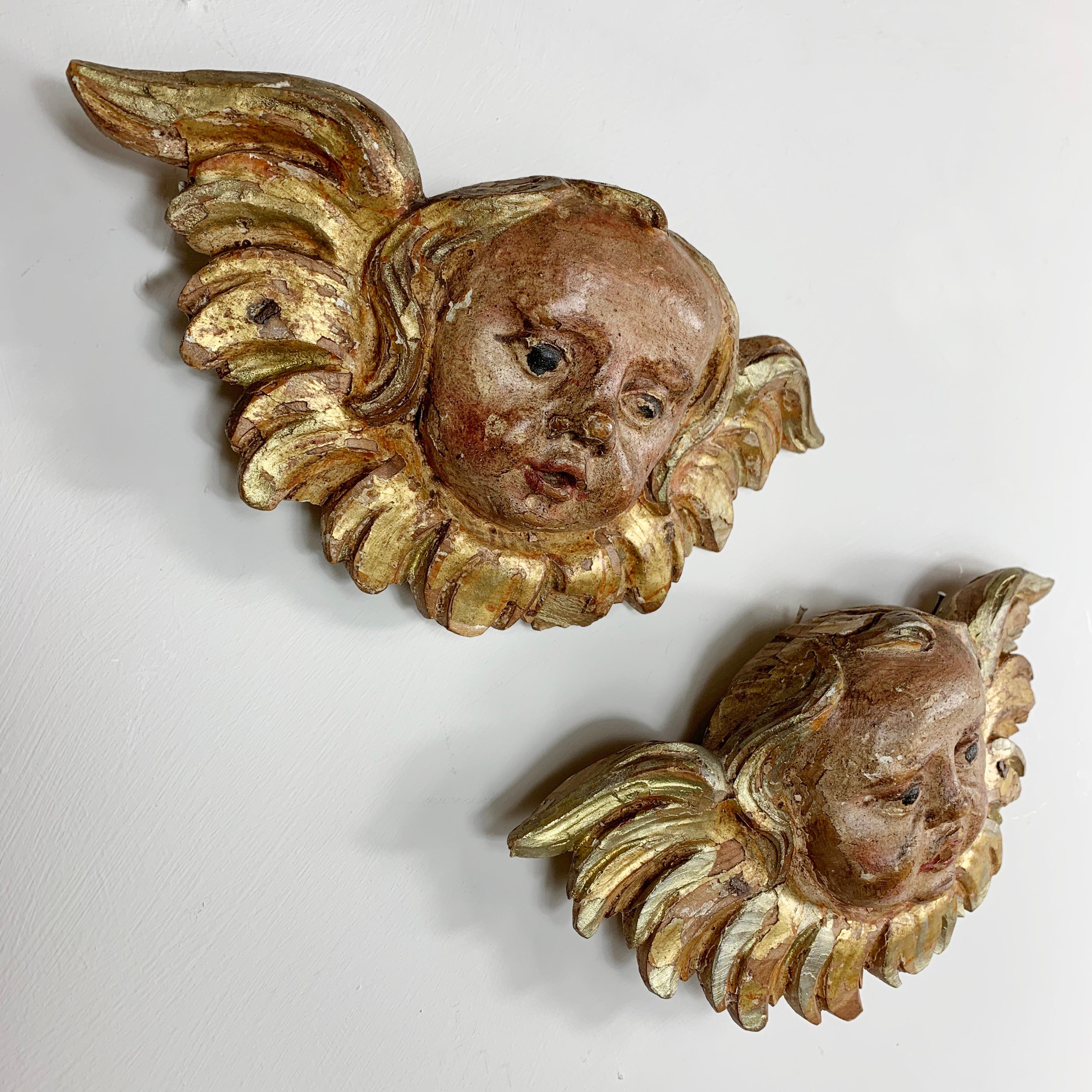 Mid-18th Century Pair of 18th Century Carved Wooden gilt and Polychrome Baroque Putti / Cherubs