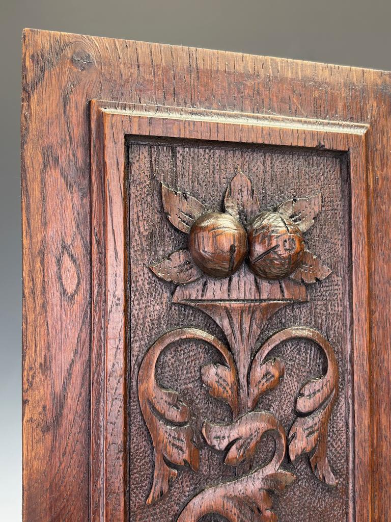 Paar englische geschnitzte Eichenpaneele aus dem 18. Jahrhundert mit mystischen Delphinen im Angebot 3