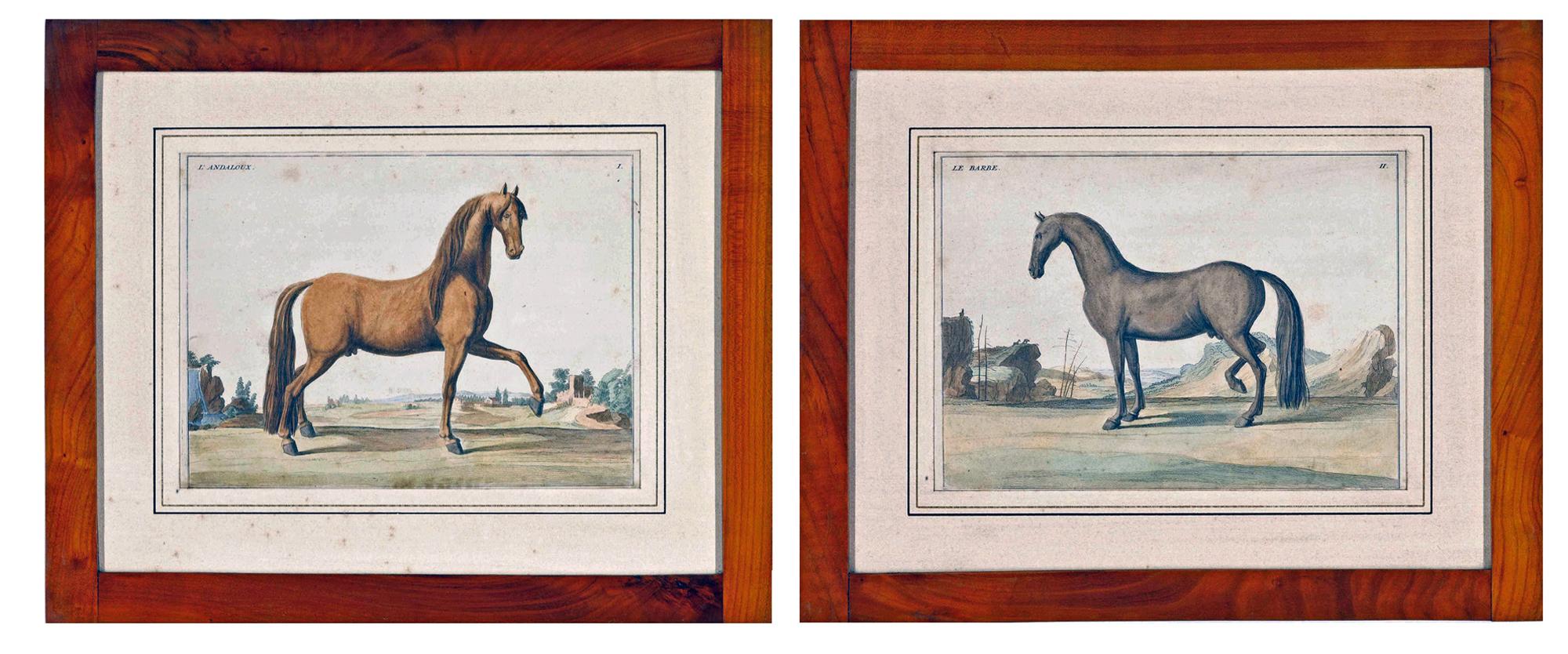 Paire de gravures de chevaux du 18e siècle Bon état - En vente à Downingtown, PA