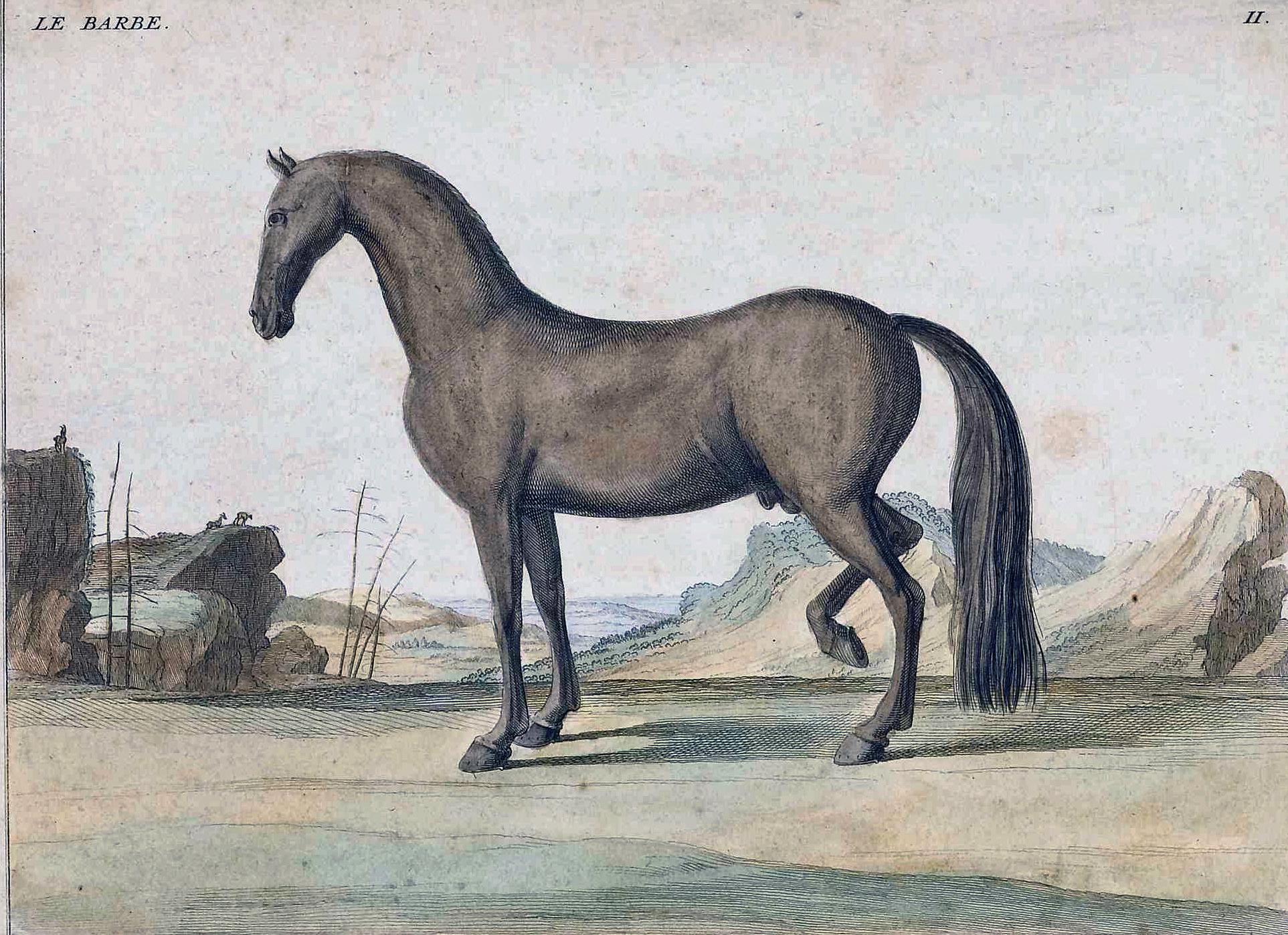 Paper Pair of 18th Century Engravings of Horses For Sale