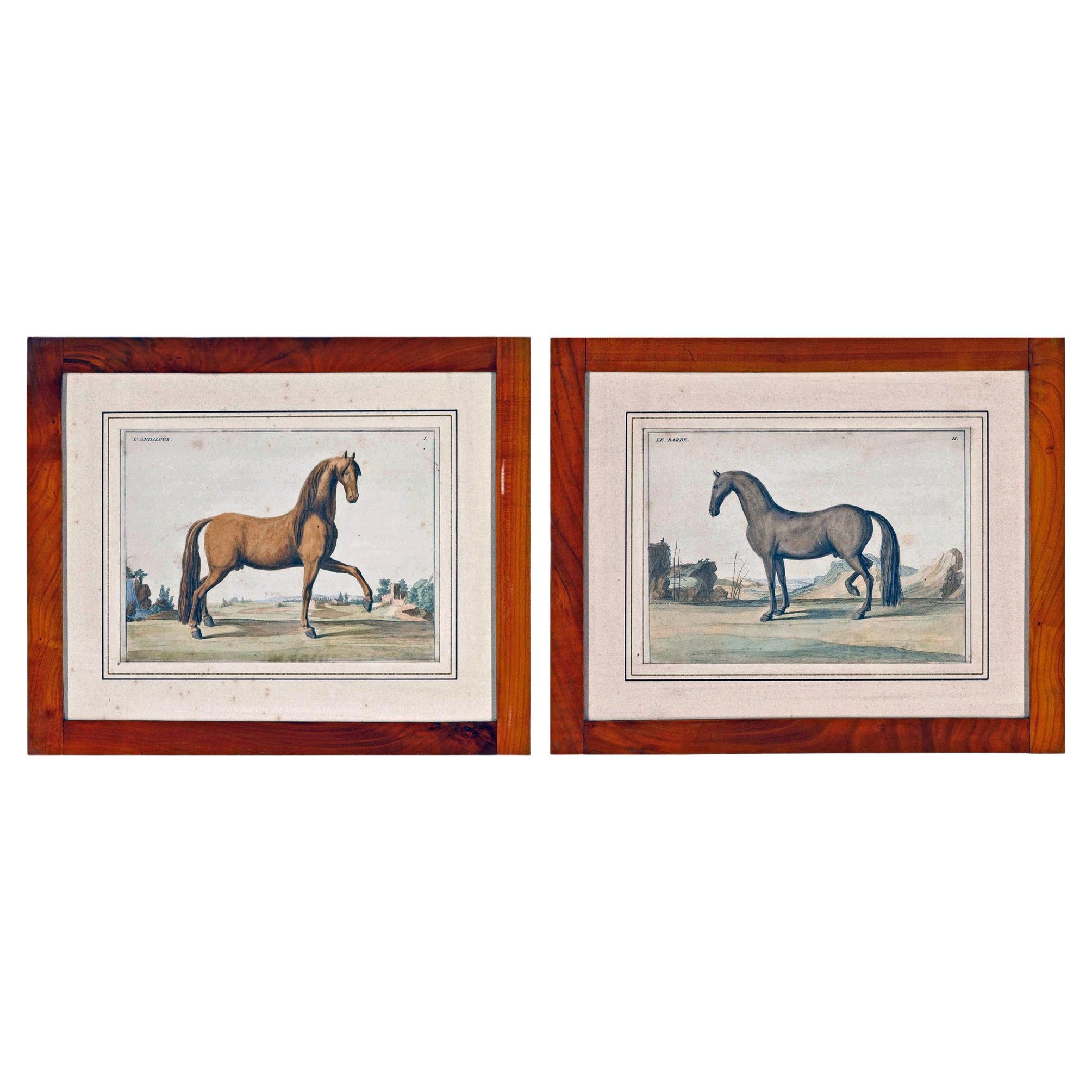 Paire de gravures de chevaux du 18e siècle