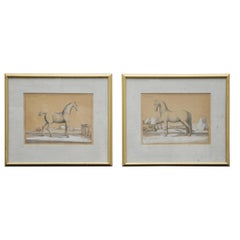 18th Century Etchings of Le Neopoltain and Cheval Anglois Horses - Set of 2