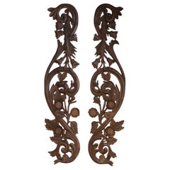 Coppia di elementi architettonici da parete in legno di Oak intagliato Luigi XIV del XVIII secolo