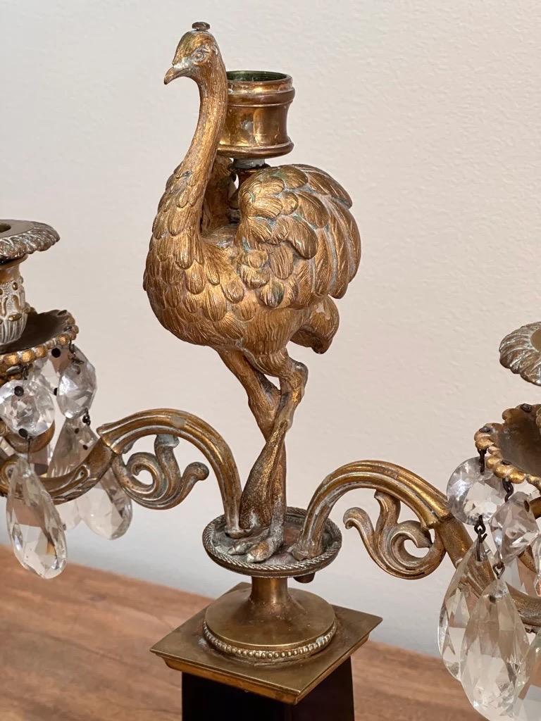 Delightful pair of gilt bronze ostrich candelabra, possibly Parker and Perry, the pair having finely molded ostriches flanked by crystal-surrounded candle holders on square blue glass bases and ormolu shaped platform terminating in ball feet. C.