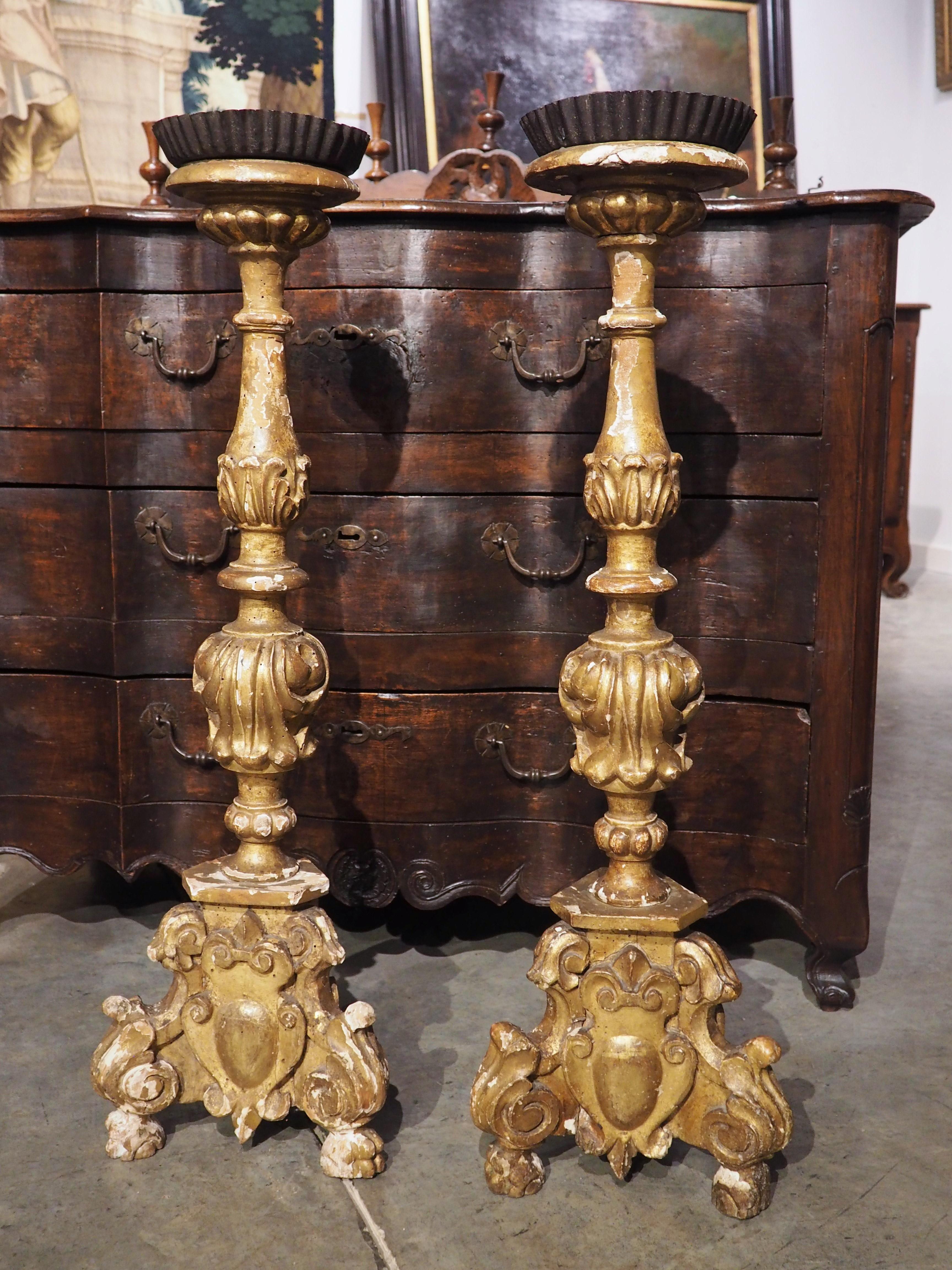 Pair of 18th Century Giltwood Altar Candlesticks from France 8