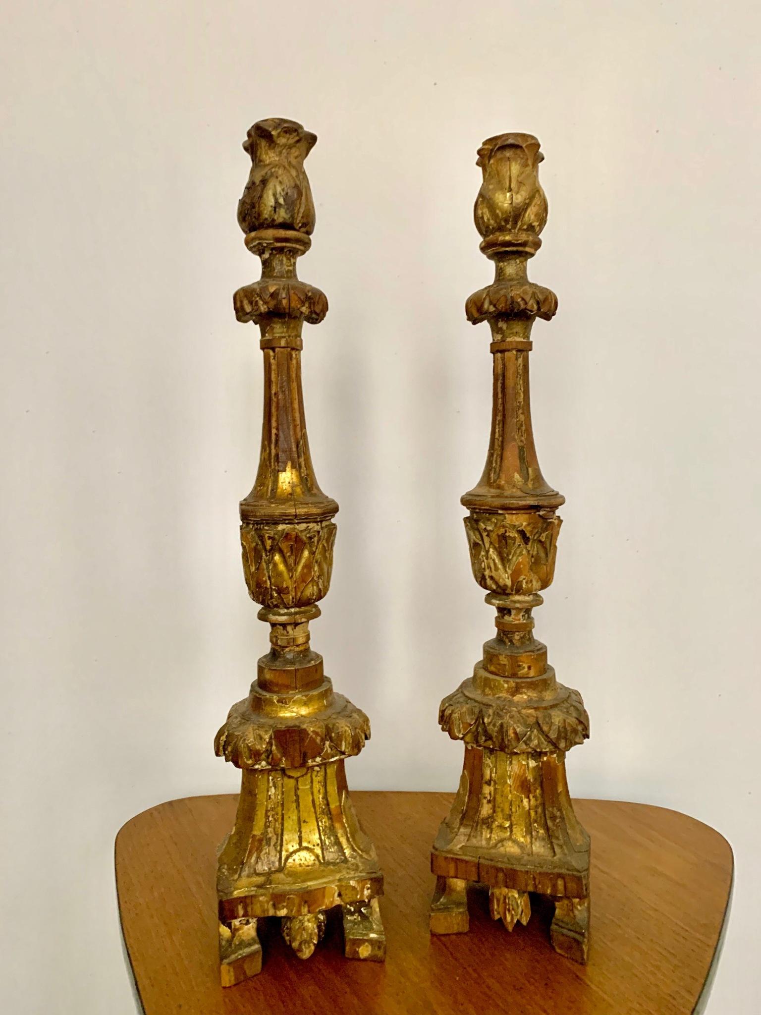 Paar Fackeln aus vergoldetem und geschnitztem Holz, datiert aus der Mitte des 18. Jahrhunderts in Portugiesisch, die Basis ist eine dreieckige Form, die auf drei kleinen Füßen ruht.
hat seine ursprüngliche Patina behalten.