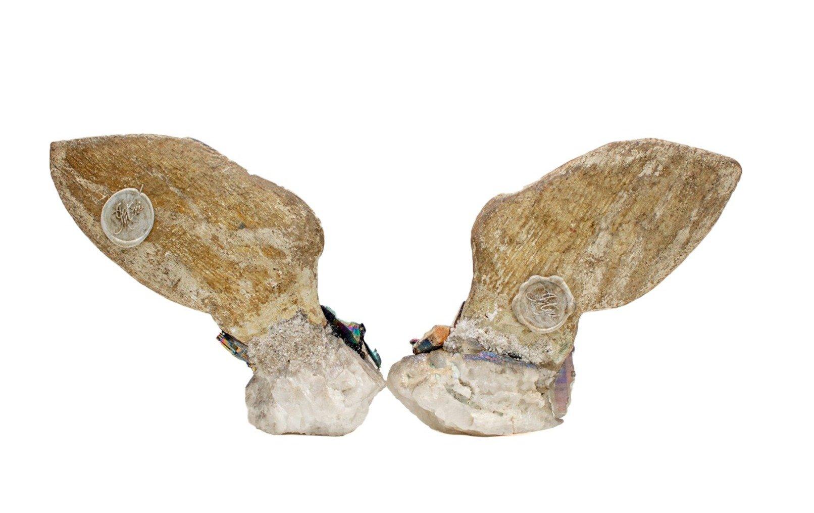 Pair of 18th Century Italian Angel Wings on Titanium Quartz with Kyanite 1