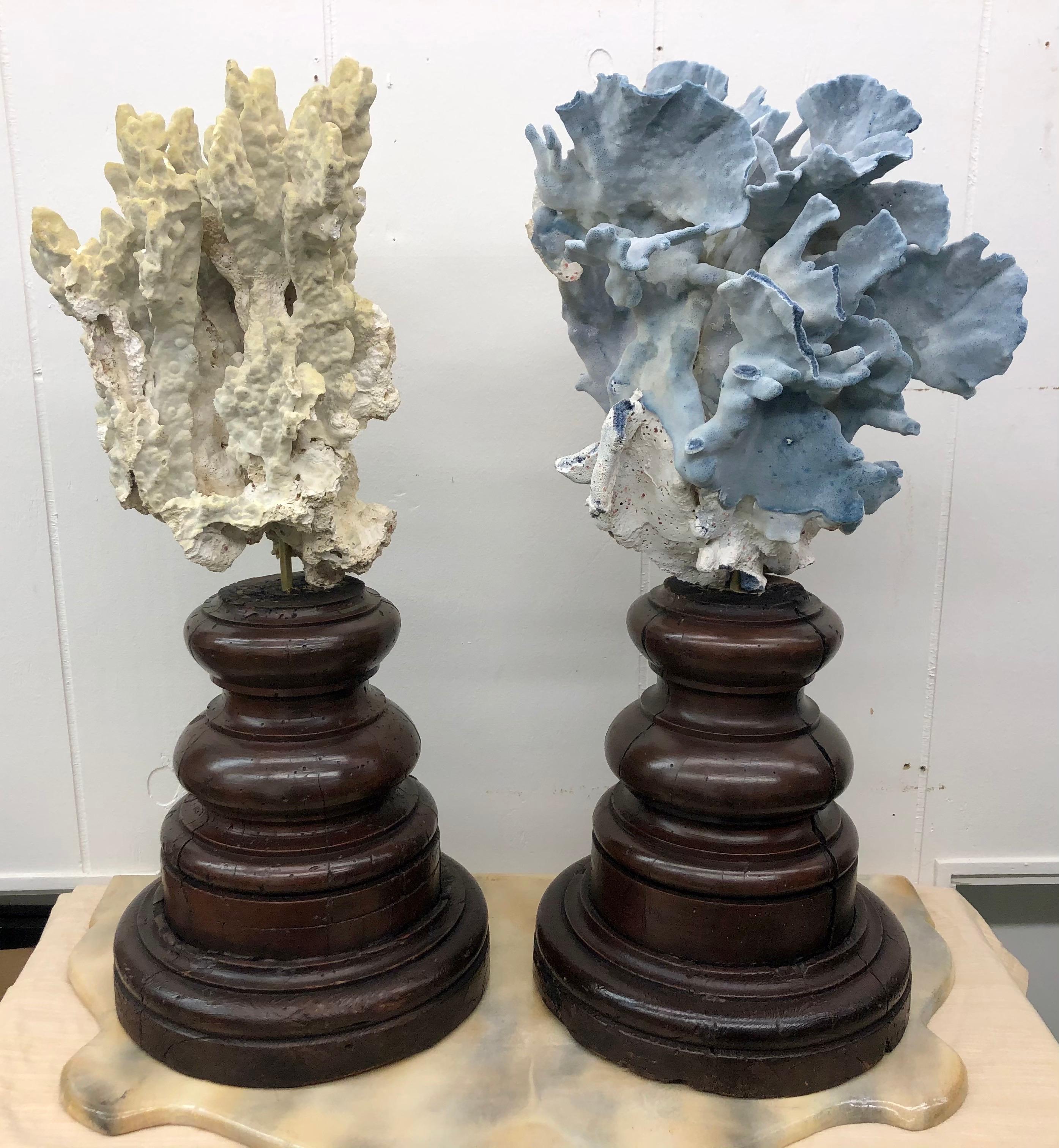Pair of 18th century Italian base with grand specimen coral sculptures.