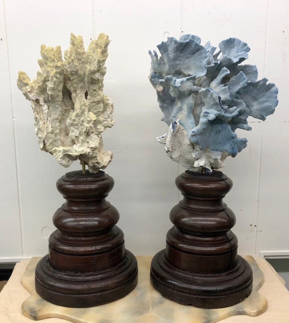 Pair of 18th Century Italian Base with Grand Specimen Coral Sculptures 1